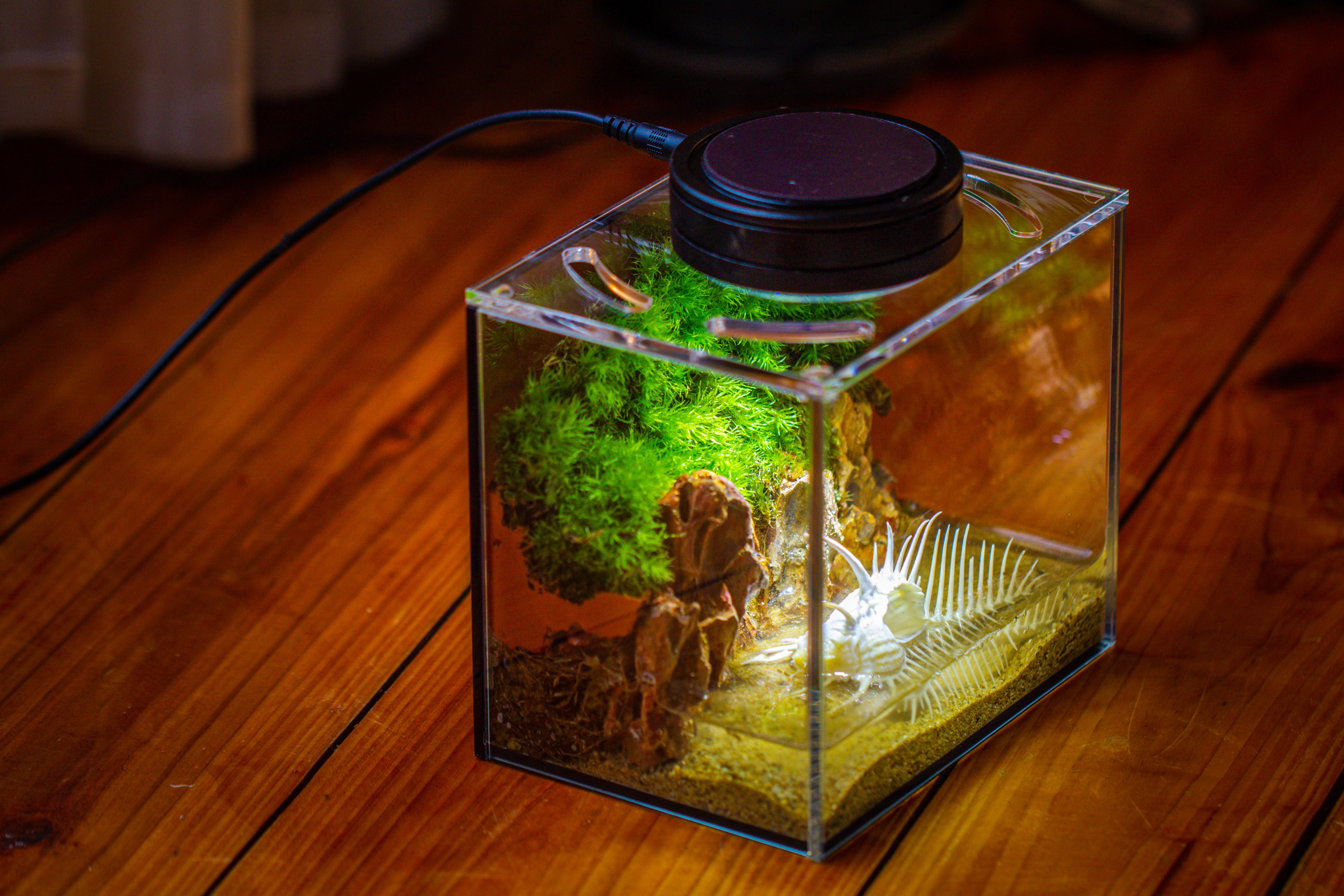 Watertight Glass Terrarium with LED Grow Light, Acrylic Lid for Moss Wall, vertical planting-15x11x13cm / 5.9x4.3x5.1'' - NCYPgarden