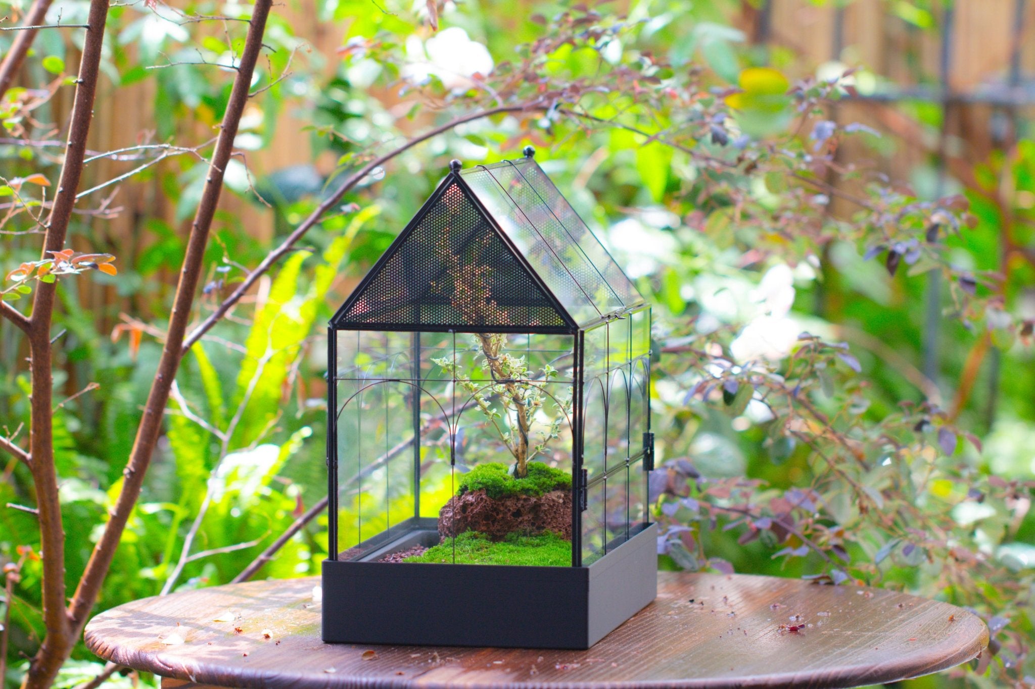 Large Vintage House Shape Insect Terrarium with Vent for Tarantulas, Mantis, Stick Insects - 13" - NCYPgarden