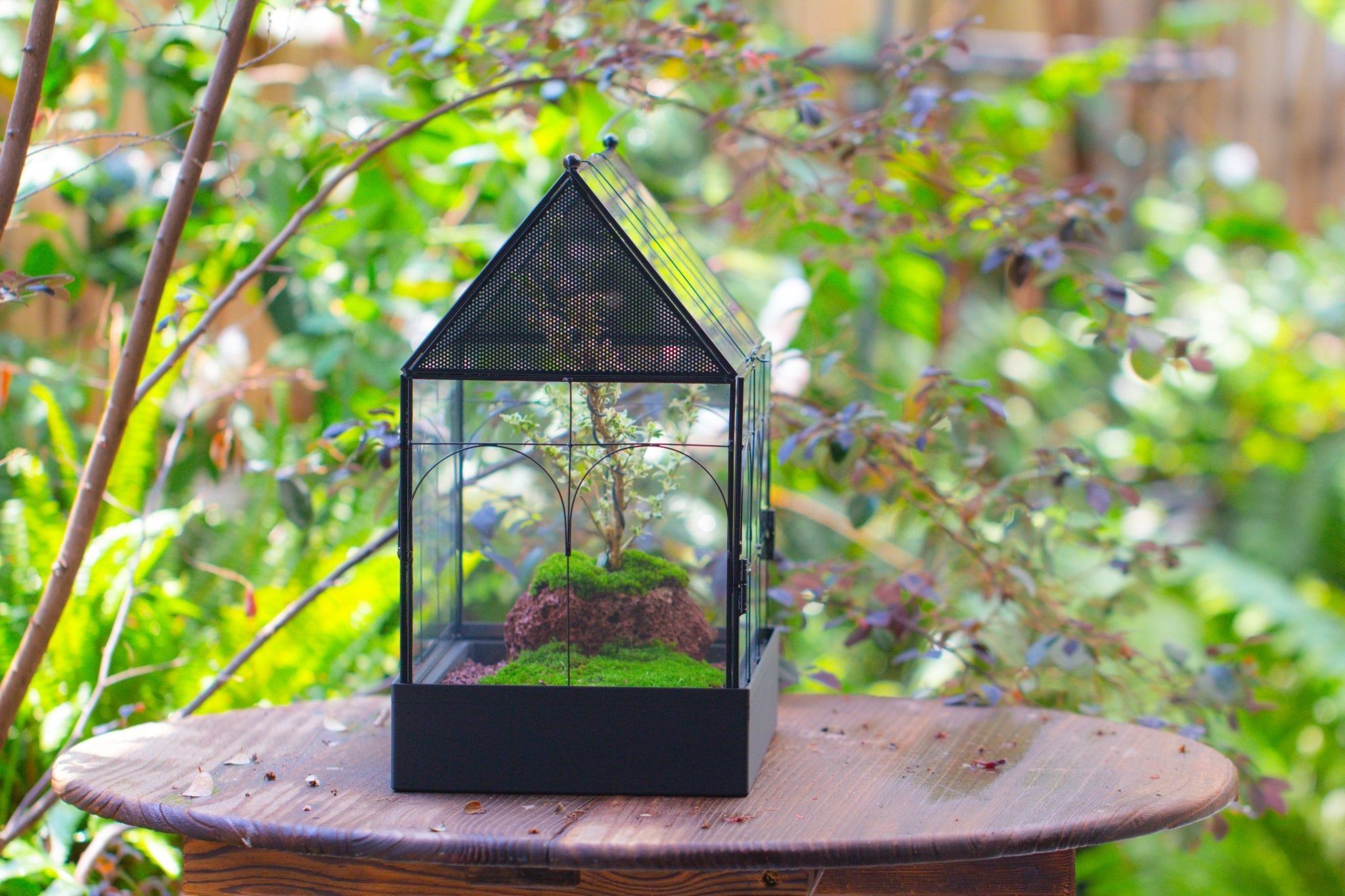 Large Vintage House Shape Insect Terrarium with Vent for Tarantulas, Mantis, Stick Insects - 13" - NCYPgarden
