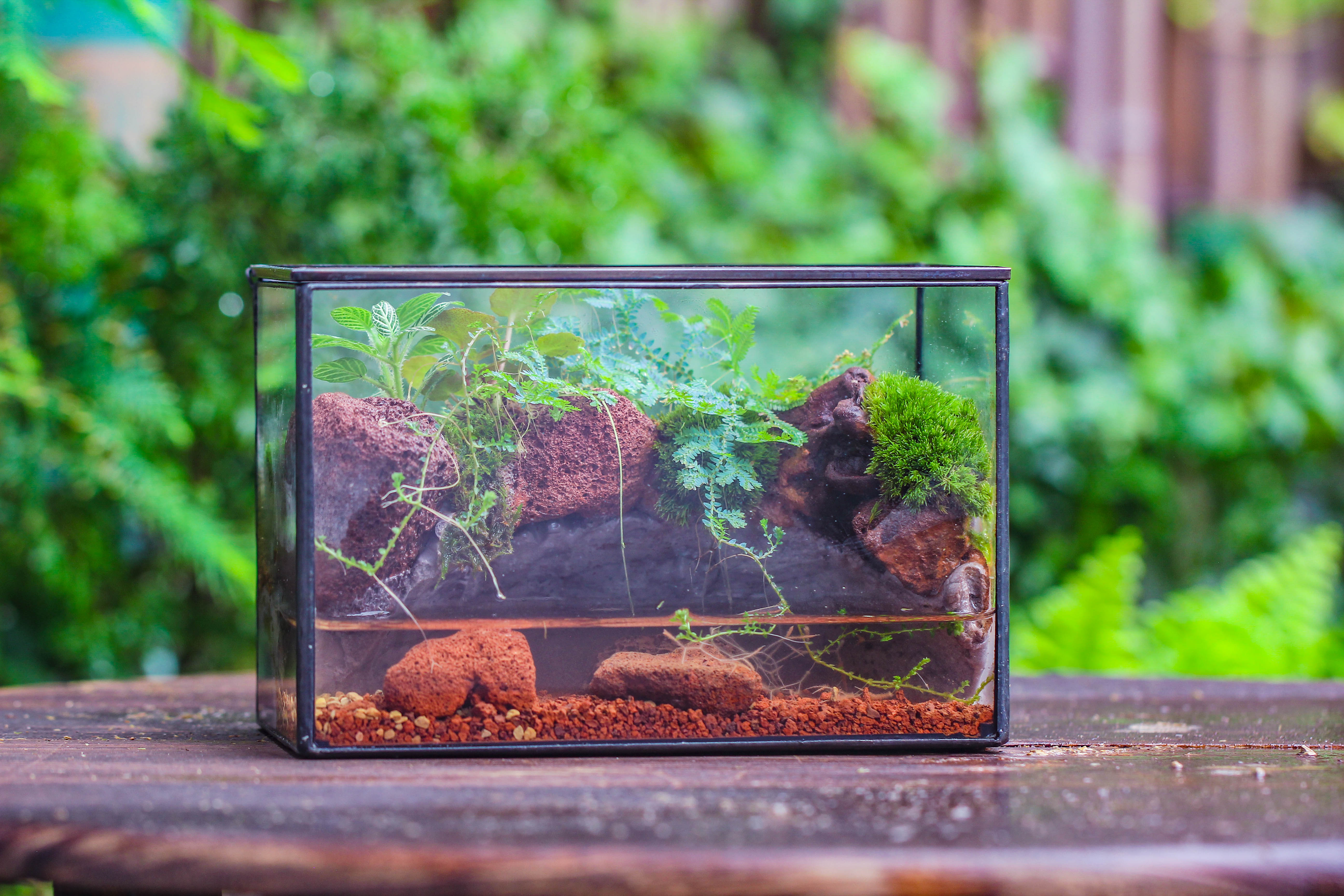 NCYP Watertight Close Rectangle Geometric Glass Tin Terrarium, for small waterpond, moss landscape, Live Miniature, water pond, landscape - NCYPgarden