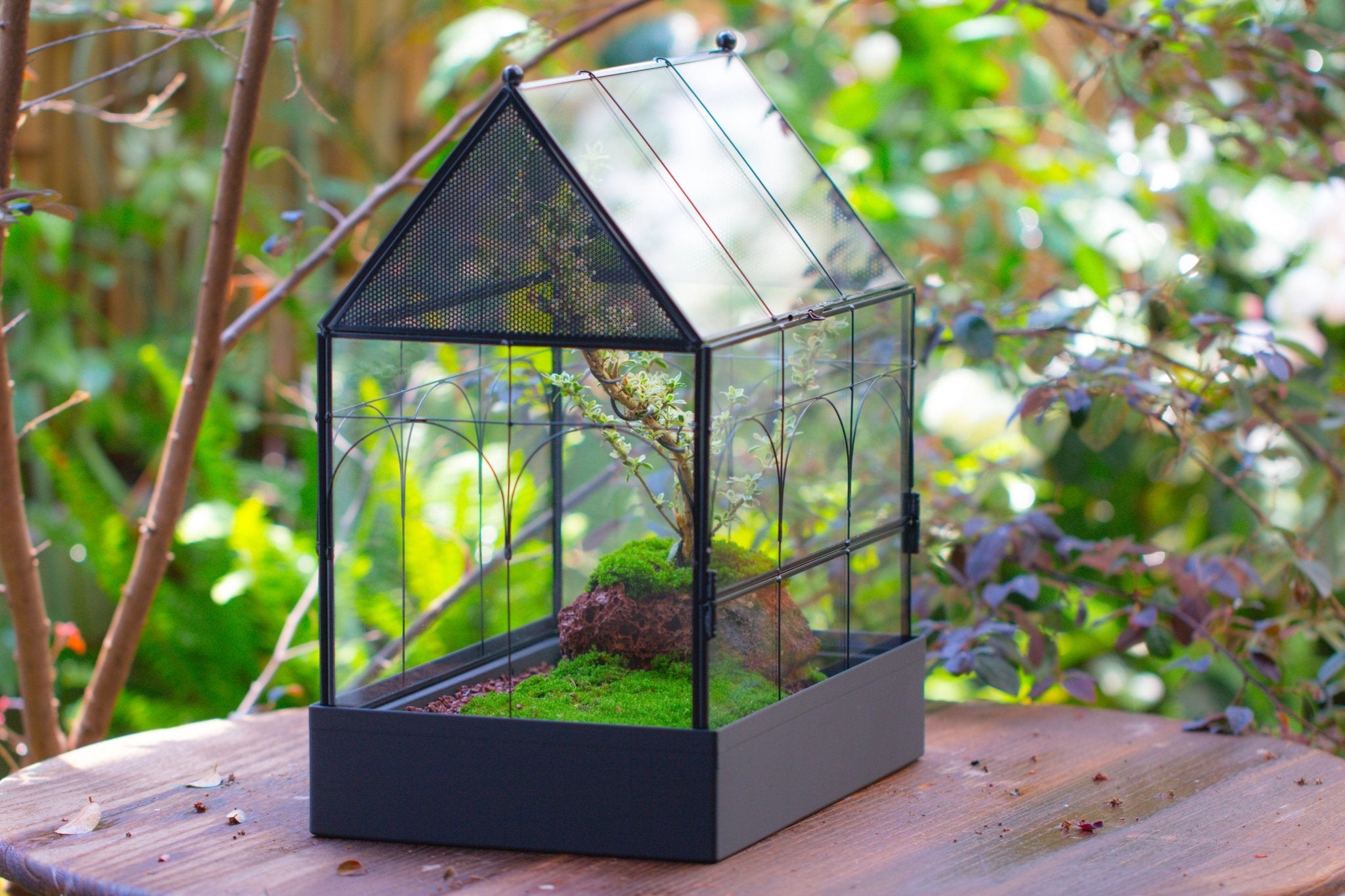 Large Vintage House Shape Insect Terrarium with Vent for Tarantulas, Mantis, Stick Insects - 13" - NCYPgarden