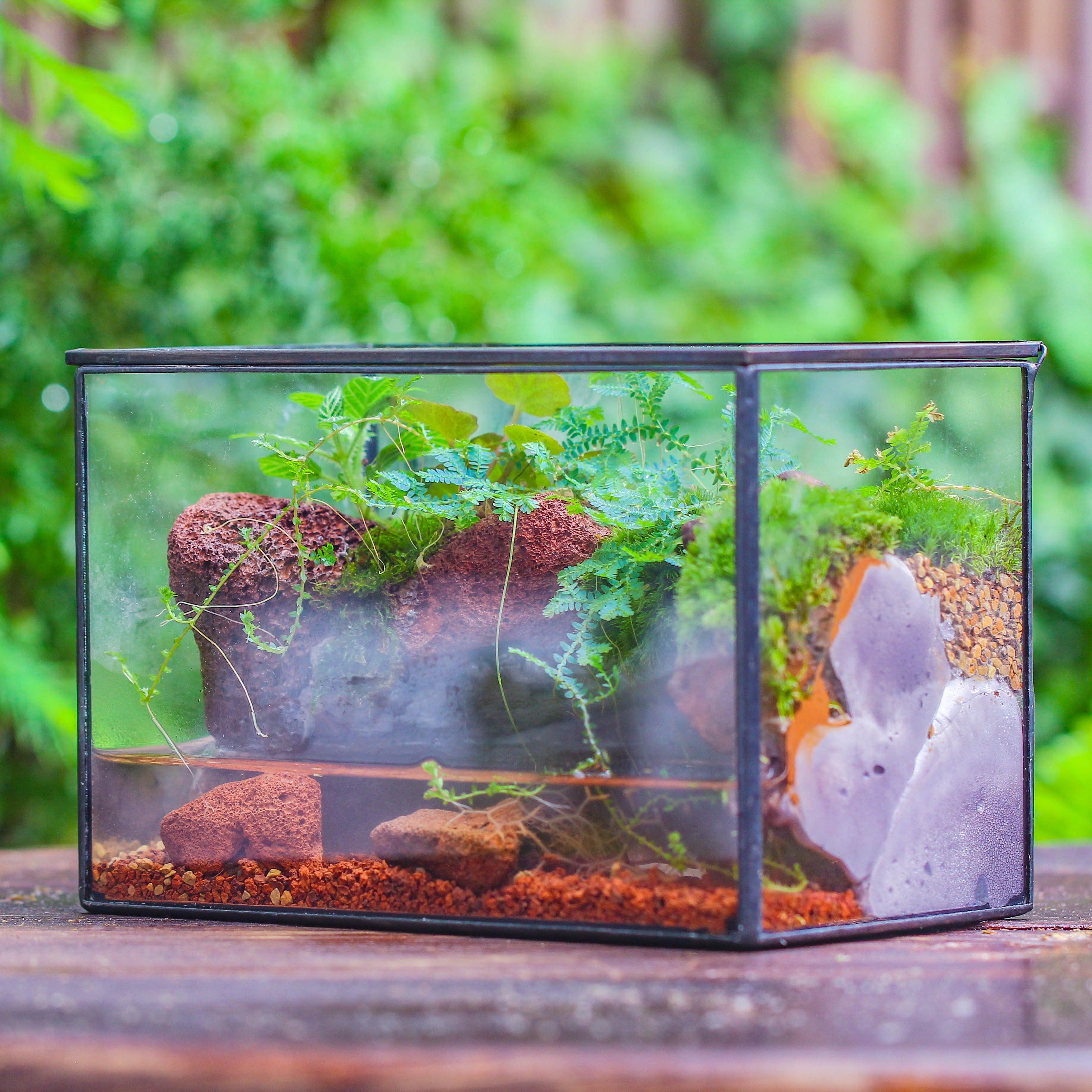 NCYP Watertight Close Rectangle Geometric Glass Tin Terrarium, for sma ...