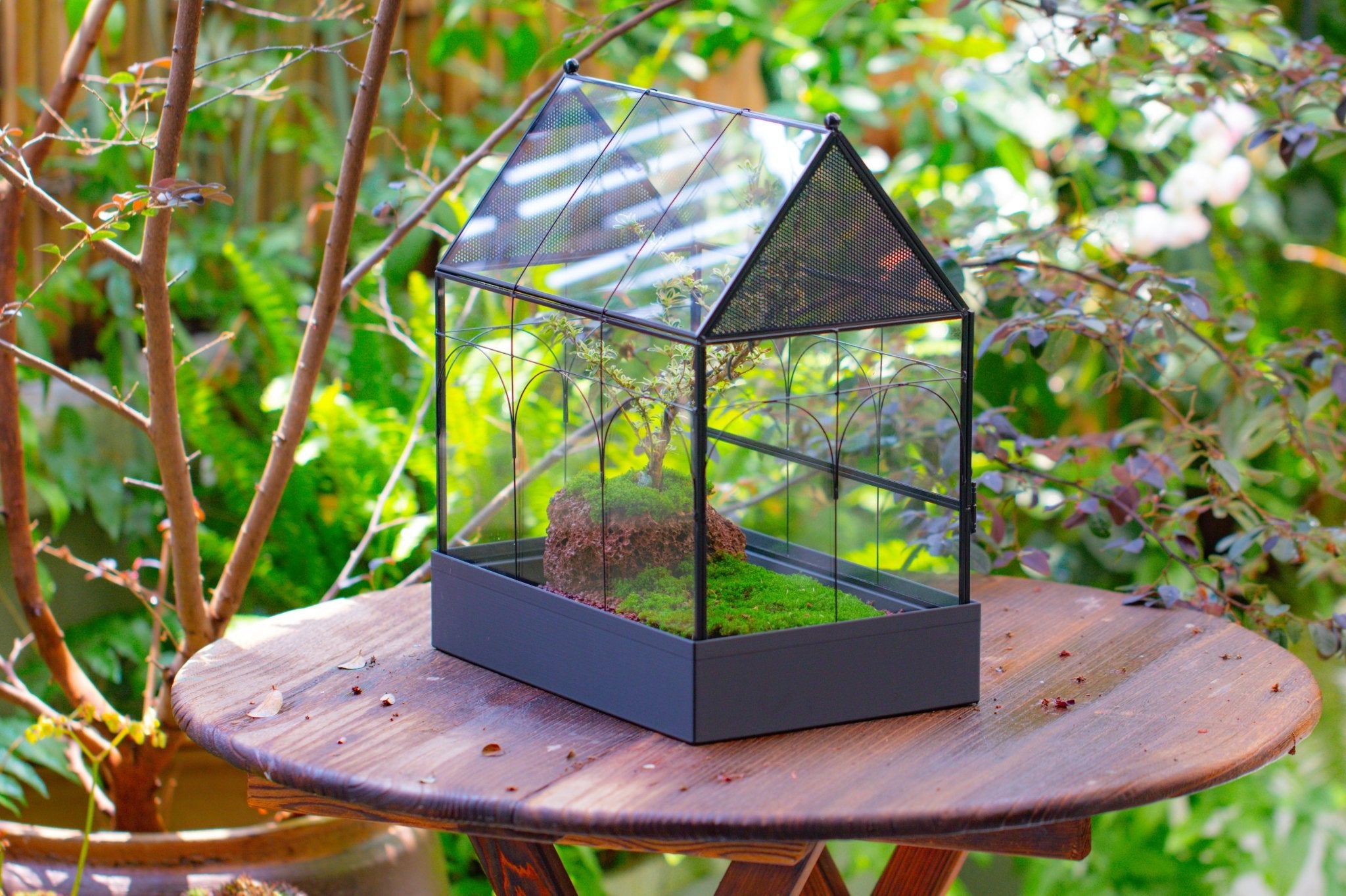 Large Vintage House Shape Insect Terrarium with Vent for Tarantulas, Mantis, Stick Insects - 13" - NCYPgarden