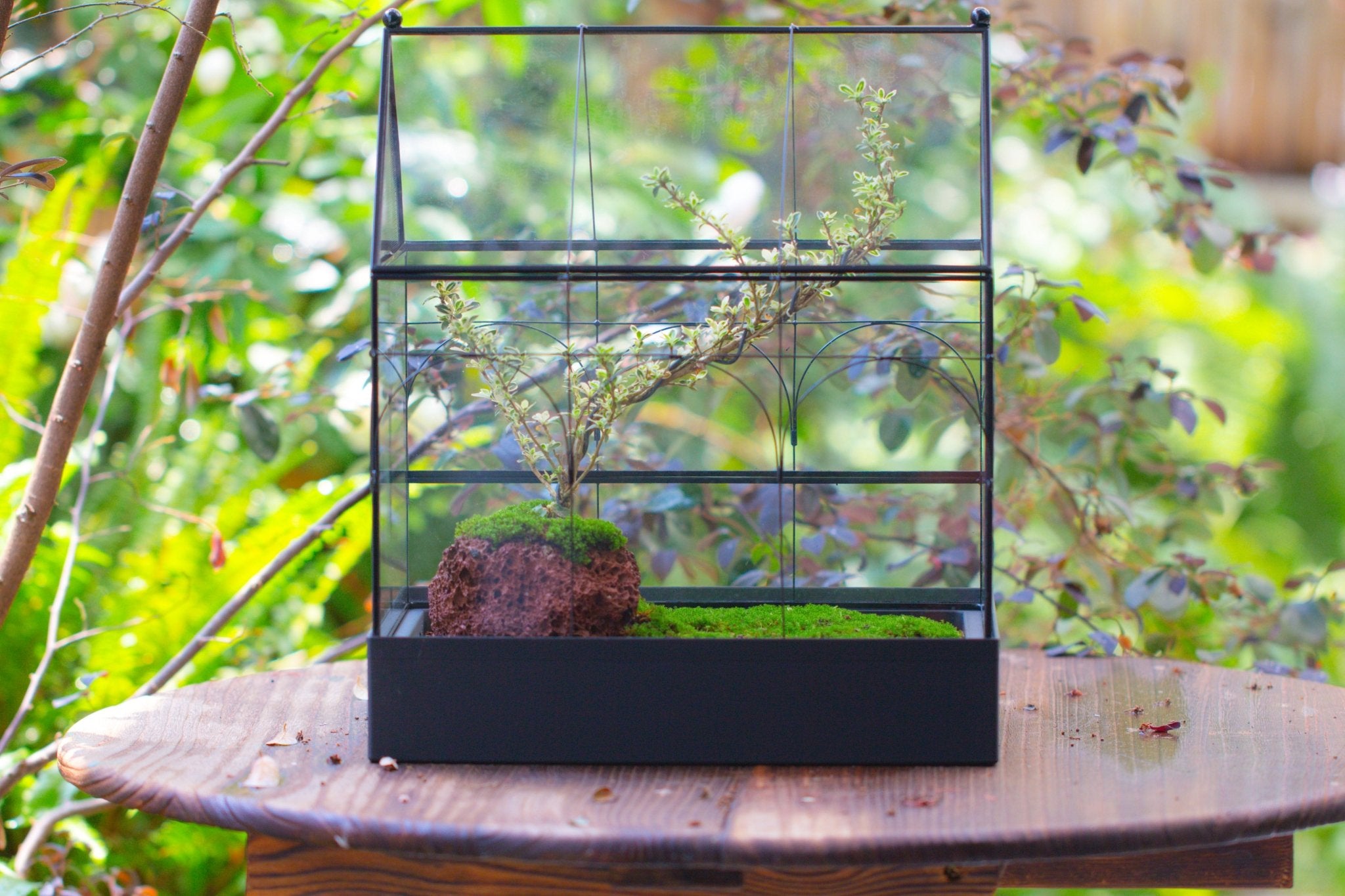 Large Vintage House Shape Insect Terrarium with Vent for Tarantulas, Mantis, Stick Insects - 13" - NCYPgarden