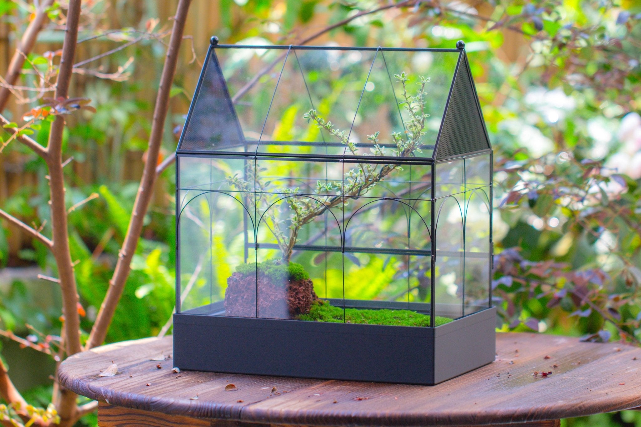 Large Vintage House Shape Insect Terrarium with Vent for Tarantulas, Mantis, Stick Insects - 13" - NCYPgarden