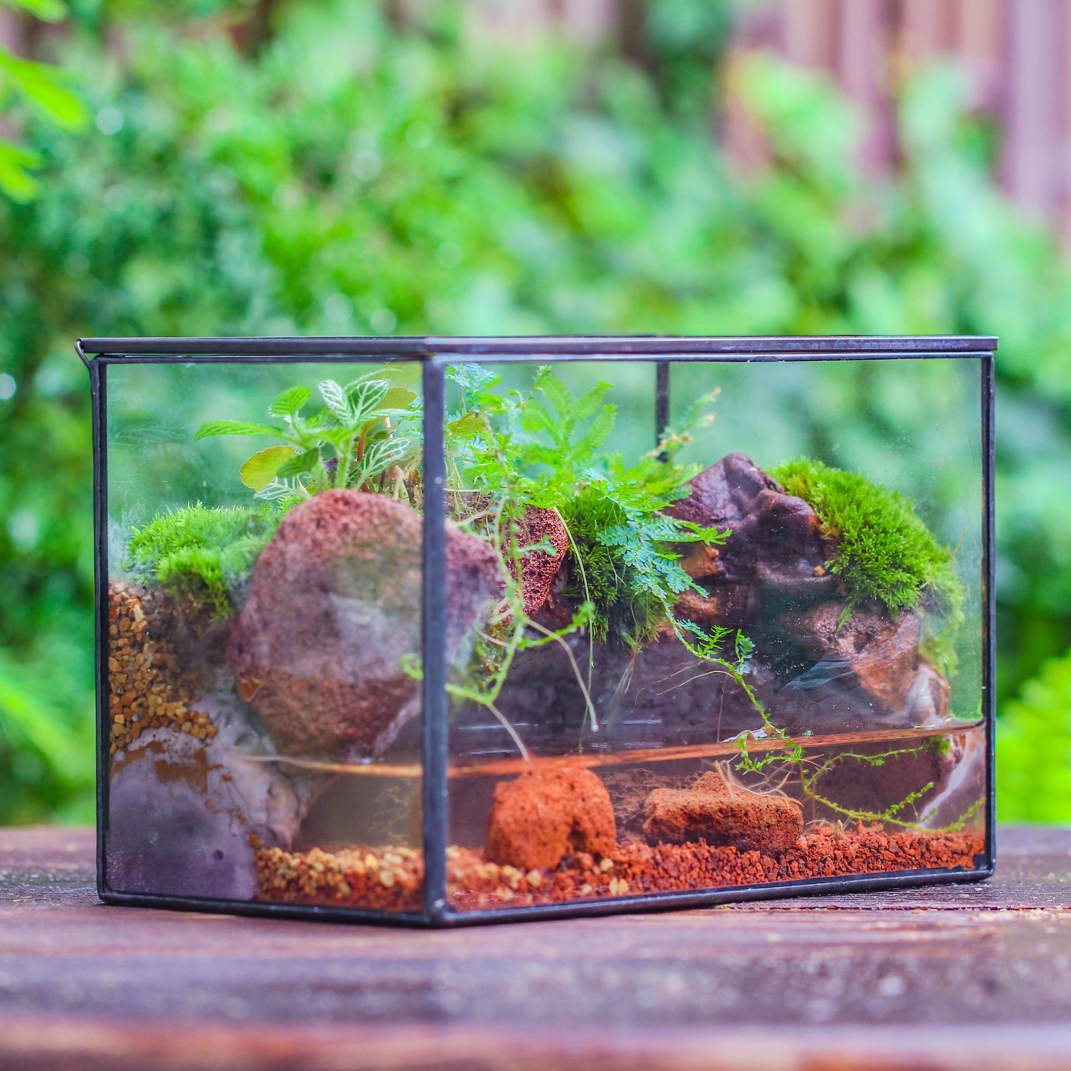 NCYP Watertight Close Rectangle Geometric Glass Tin Terrarium, for small waterpond, moss landscape, Live Miniature, water pond, landscape - NCYPgarden