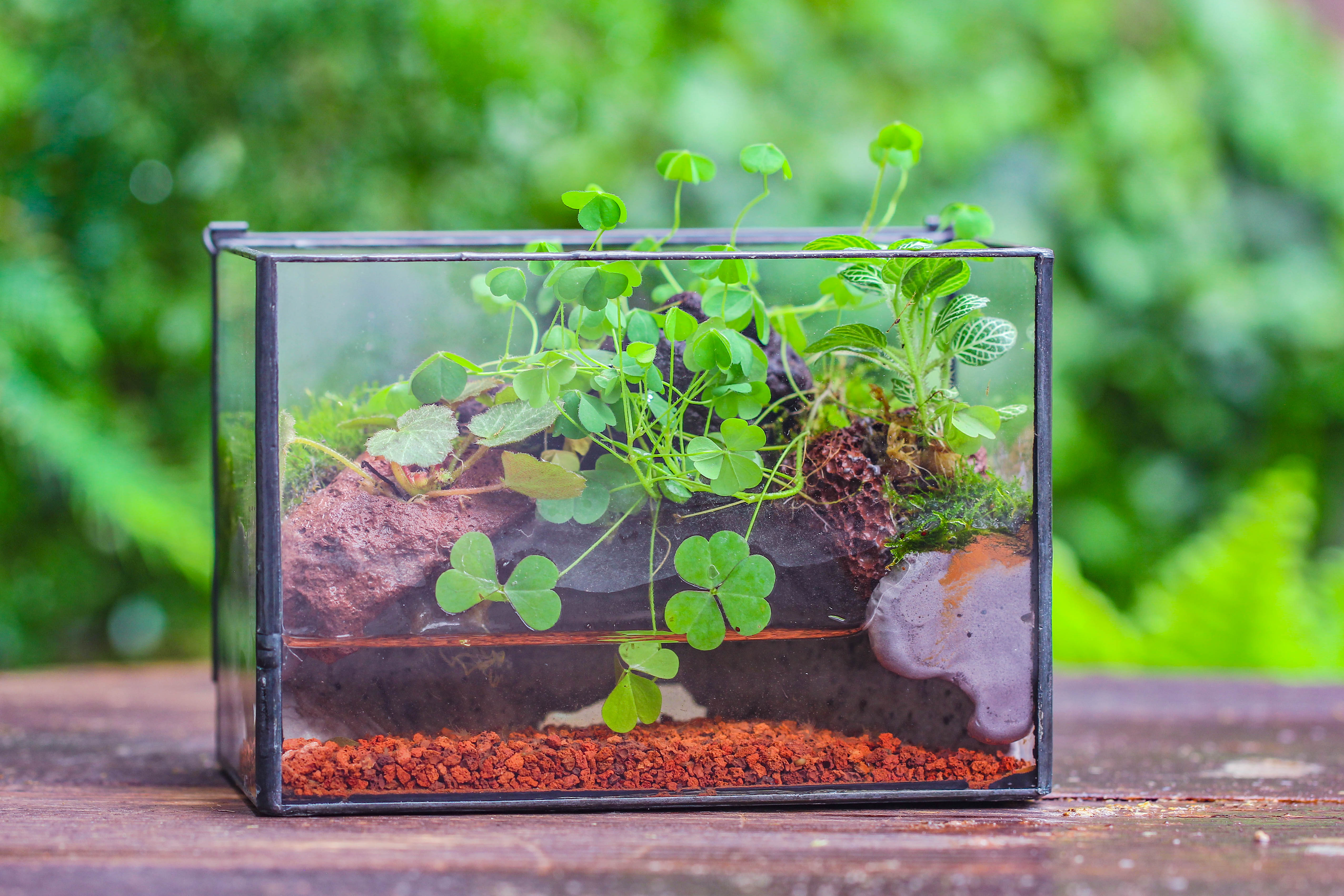 NCYP Watertight Close Small Rectangle Geometric Glass Tin Terrarium, for small waterpond, moss landscape, Live Miniature, water pond - NCYPgarden