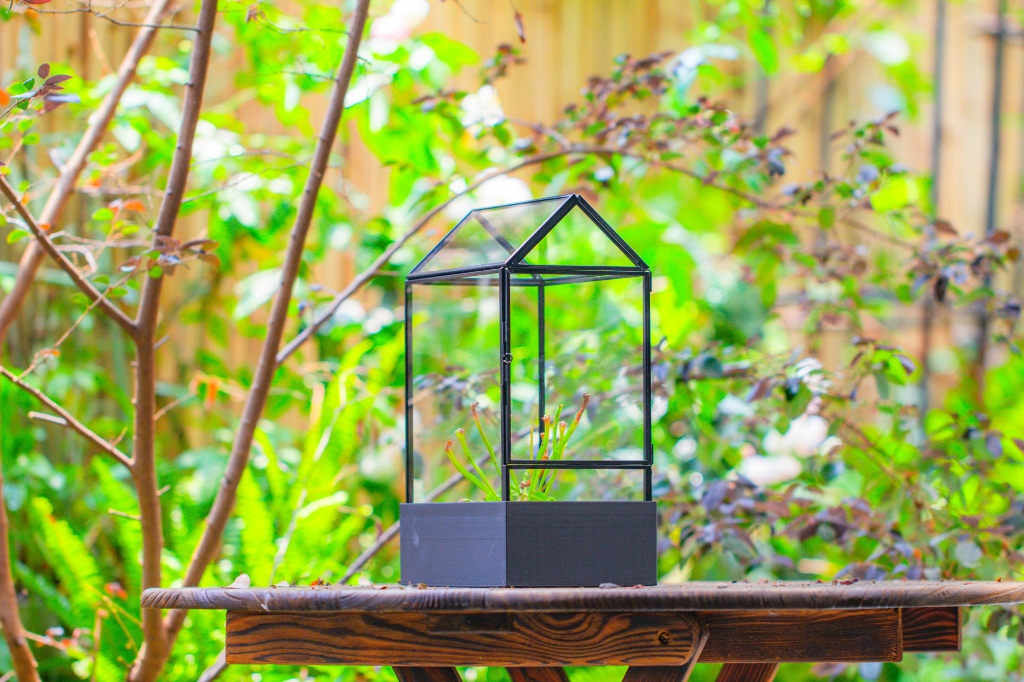 11“ Tall Glass Terrarium with Water - Holding Base and Side Door - NCYPgarden