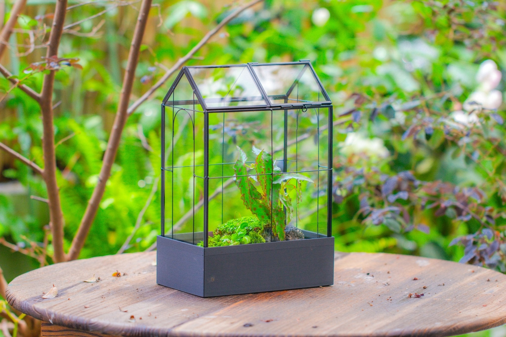 11" Tall Vintage Greenhouse Glass Terrarium with Water - Holding Base and Top Door - NCYPgarden