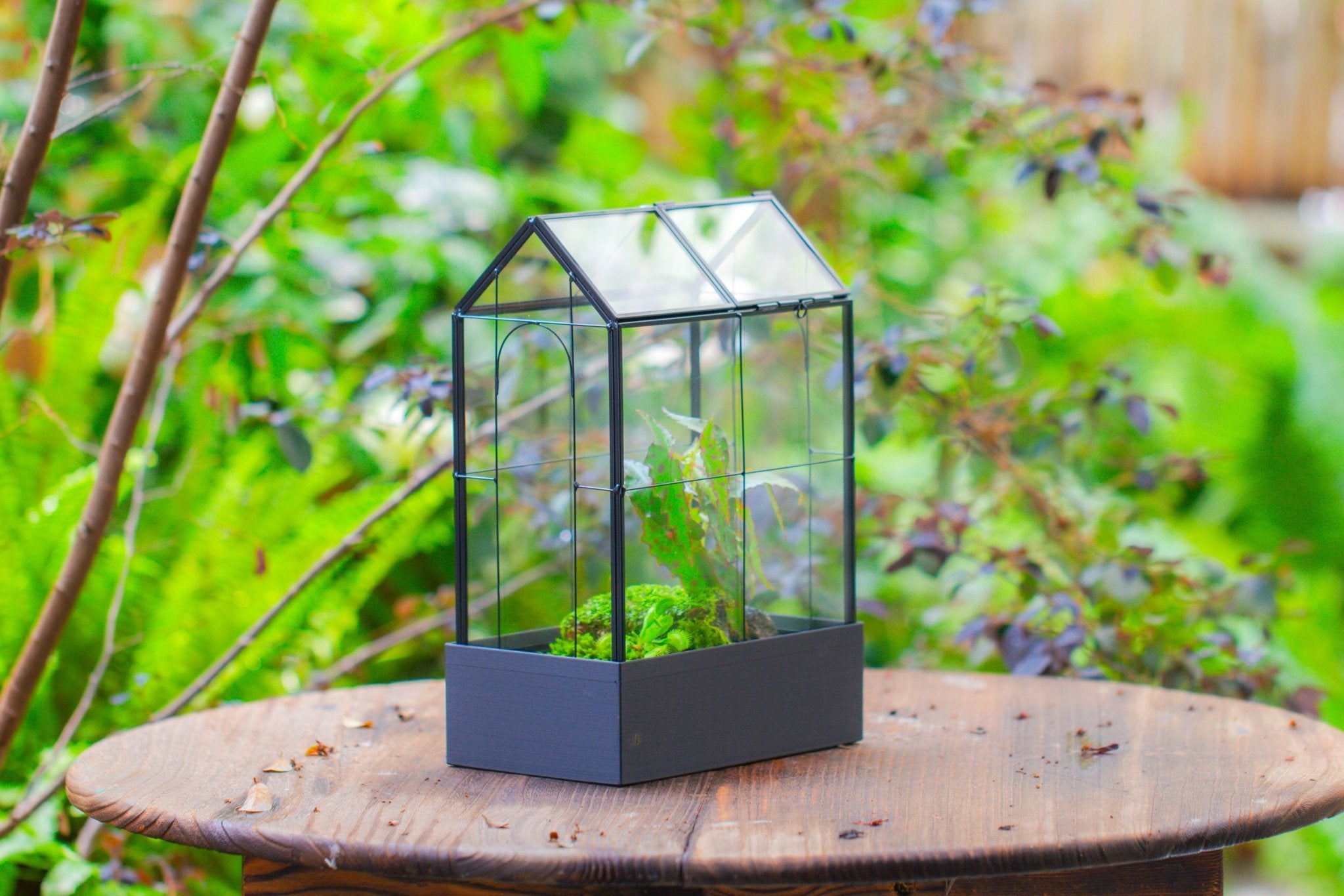 11" Tall Vintage Greenhouse Glass Terrarium with Water - Holding Base and Top Door - NCYPgarden
