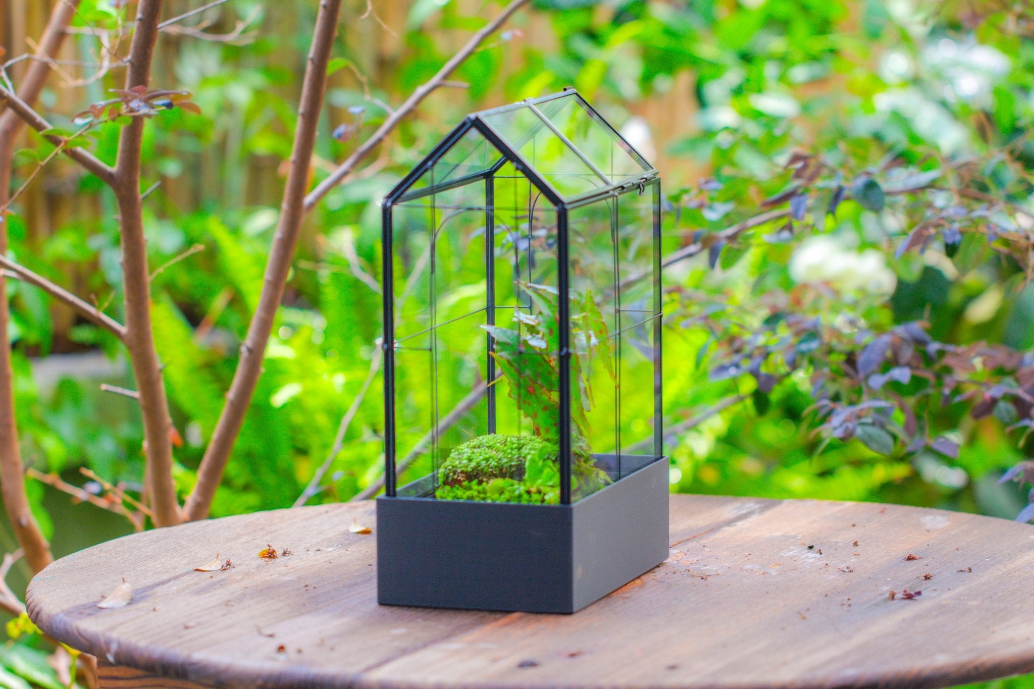 11" Tall Vintage Greenhouse Glass Terrarium with Water - Holding Base and Top Door - NCYPgarden