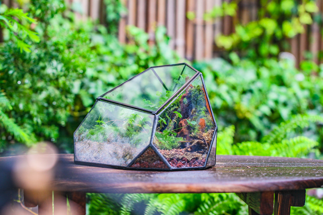 Irregular geometric rock shape glass and tin terrarium, for moss - NCYPgarden