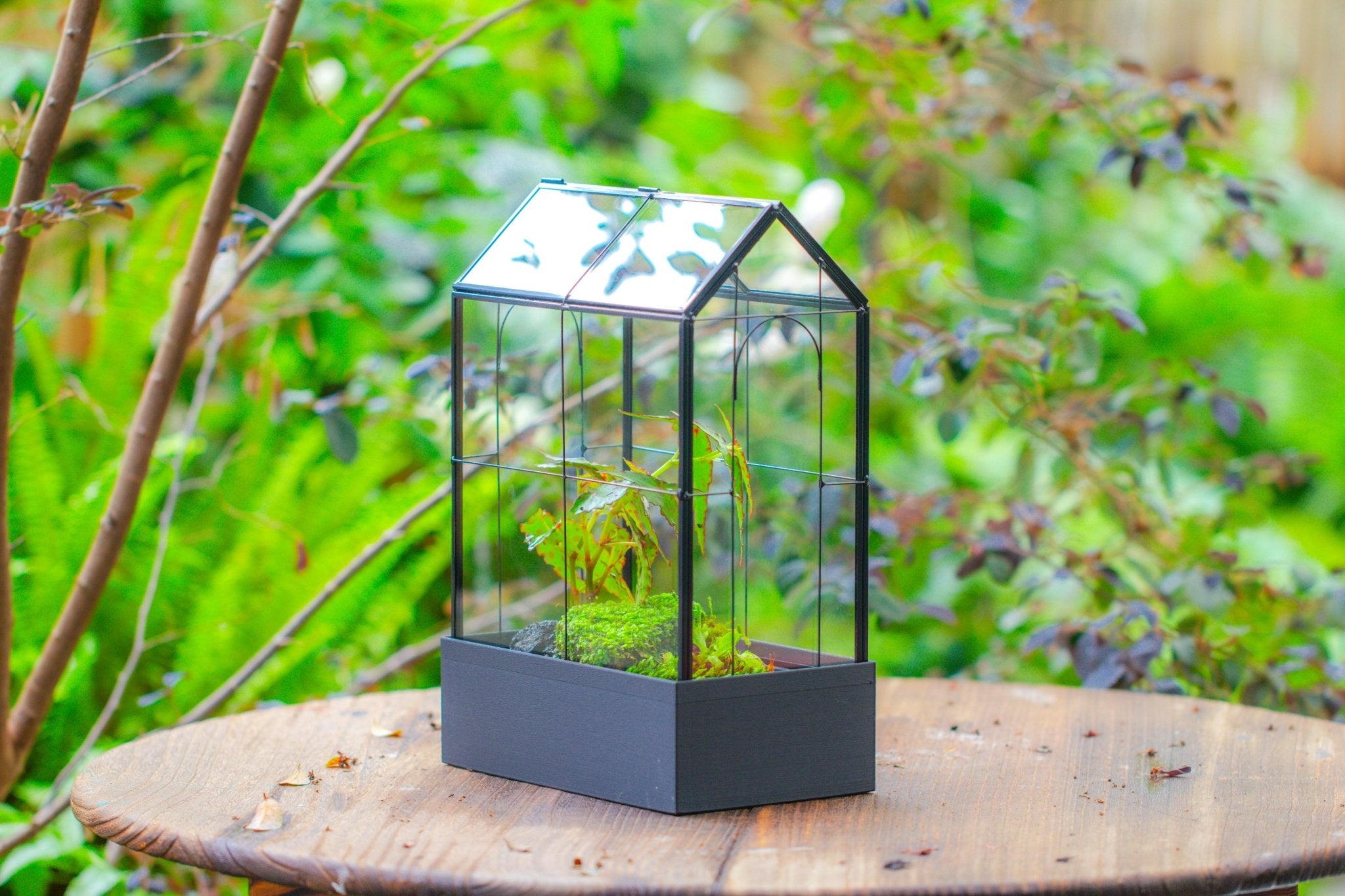 11" Tall Vintage Greenhouse Glass Terrarium with Water - Holding Base and Top Door - NCYPgarden