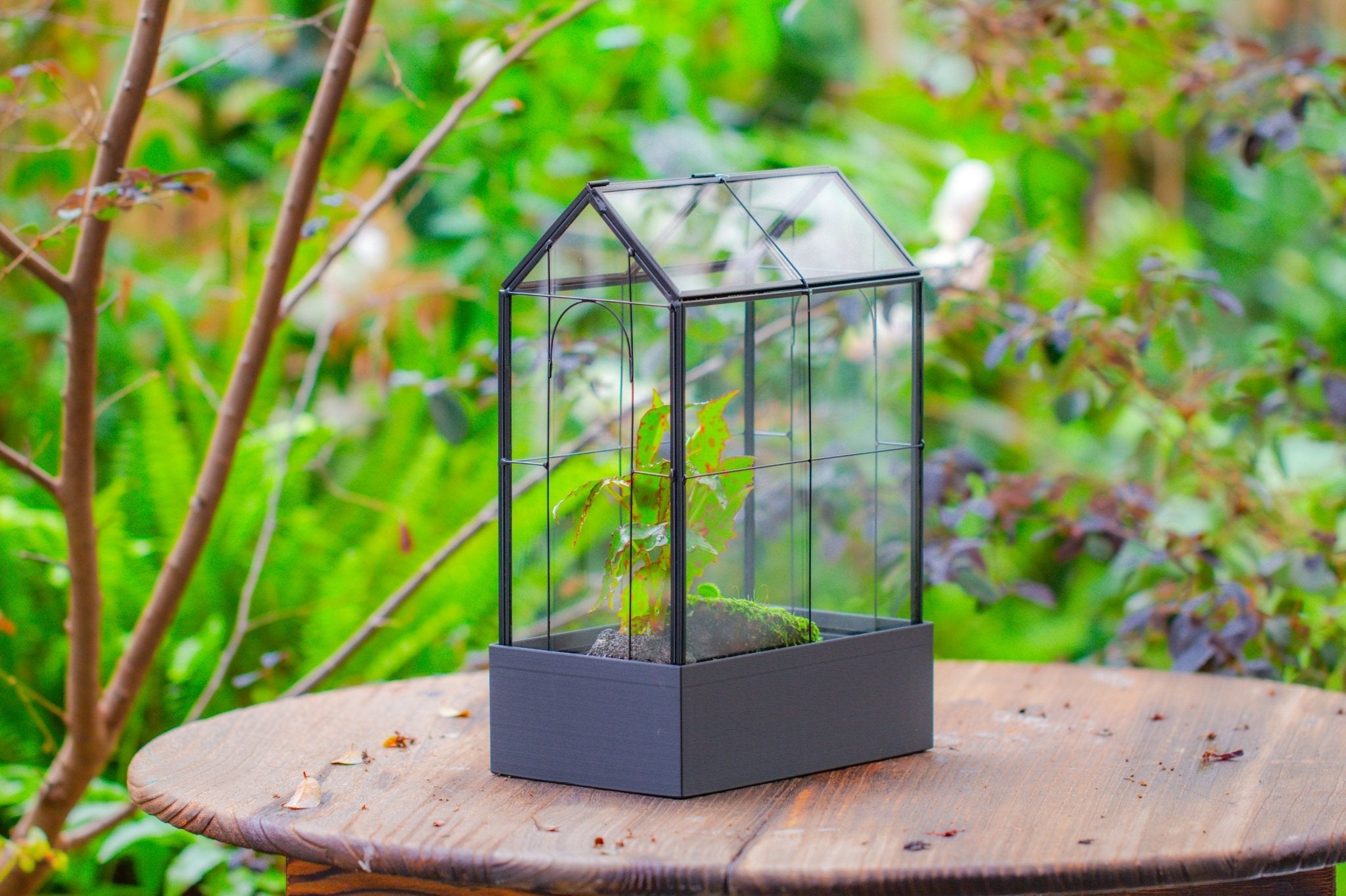 11" Tall Vintage Greenhouse Glass Terrarium with Water - Holding Base and Top Door - NCYPgarden