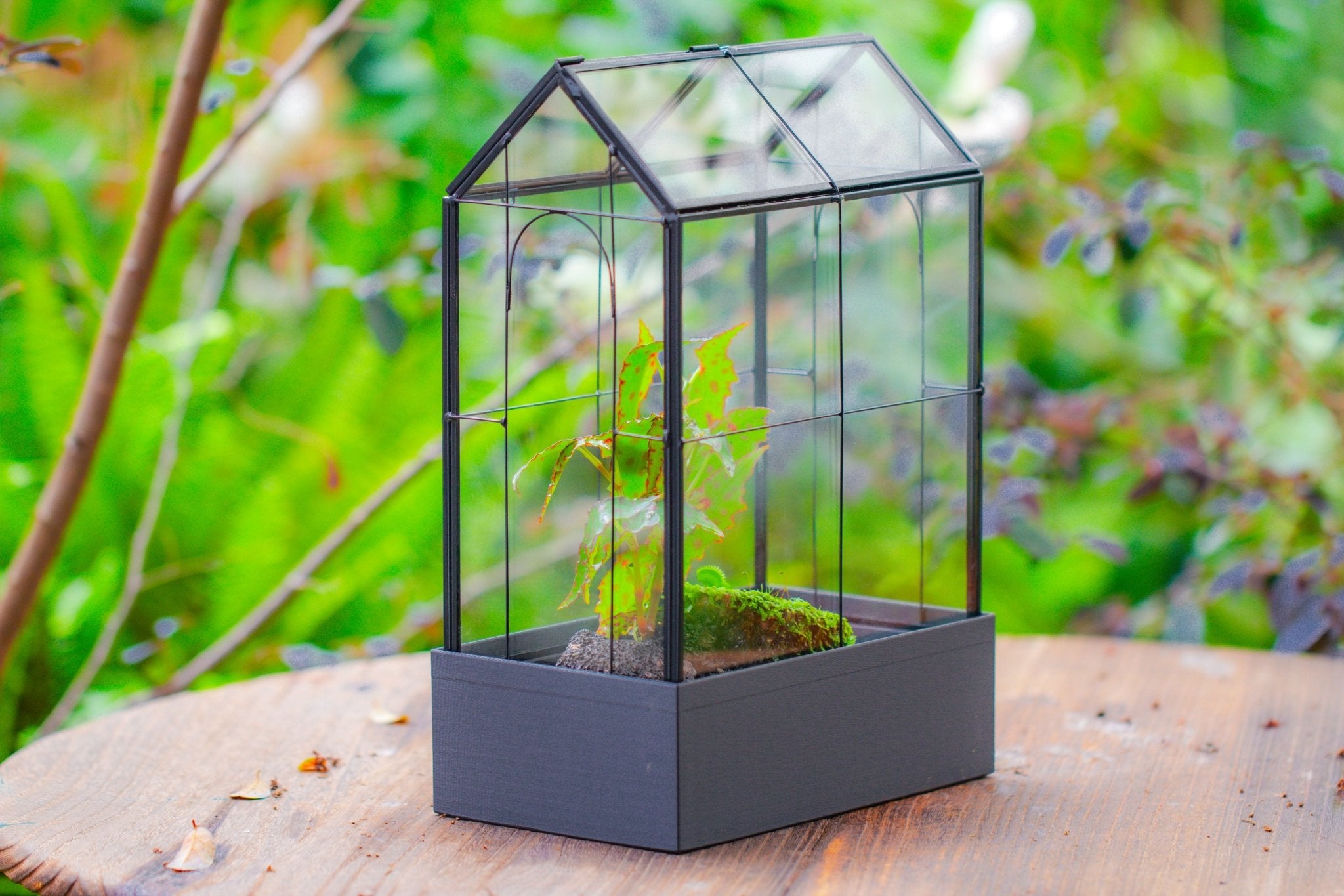 11" Tall Vintage Greenhouse Glass Terrarium with Water - Holding Base and Top Door - NCYPgarden