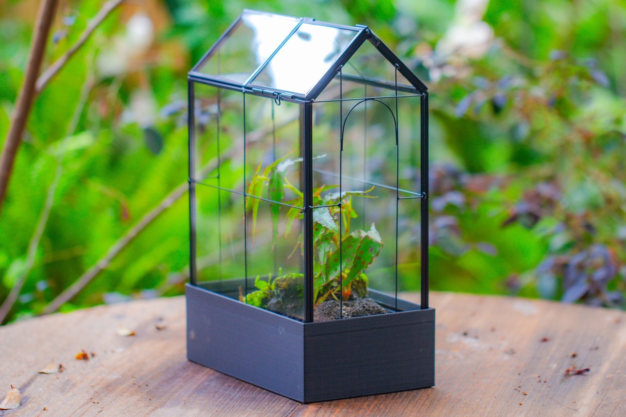 11" Tall Vintage Greenhouse Glass Terrarium with Water - Holding Base and Top Door - NCYPgarden