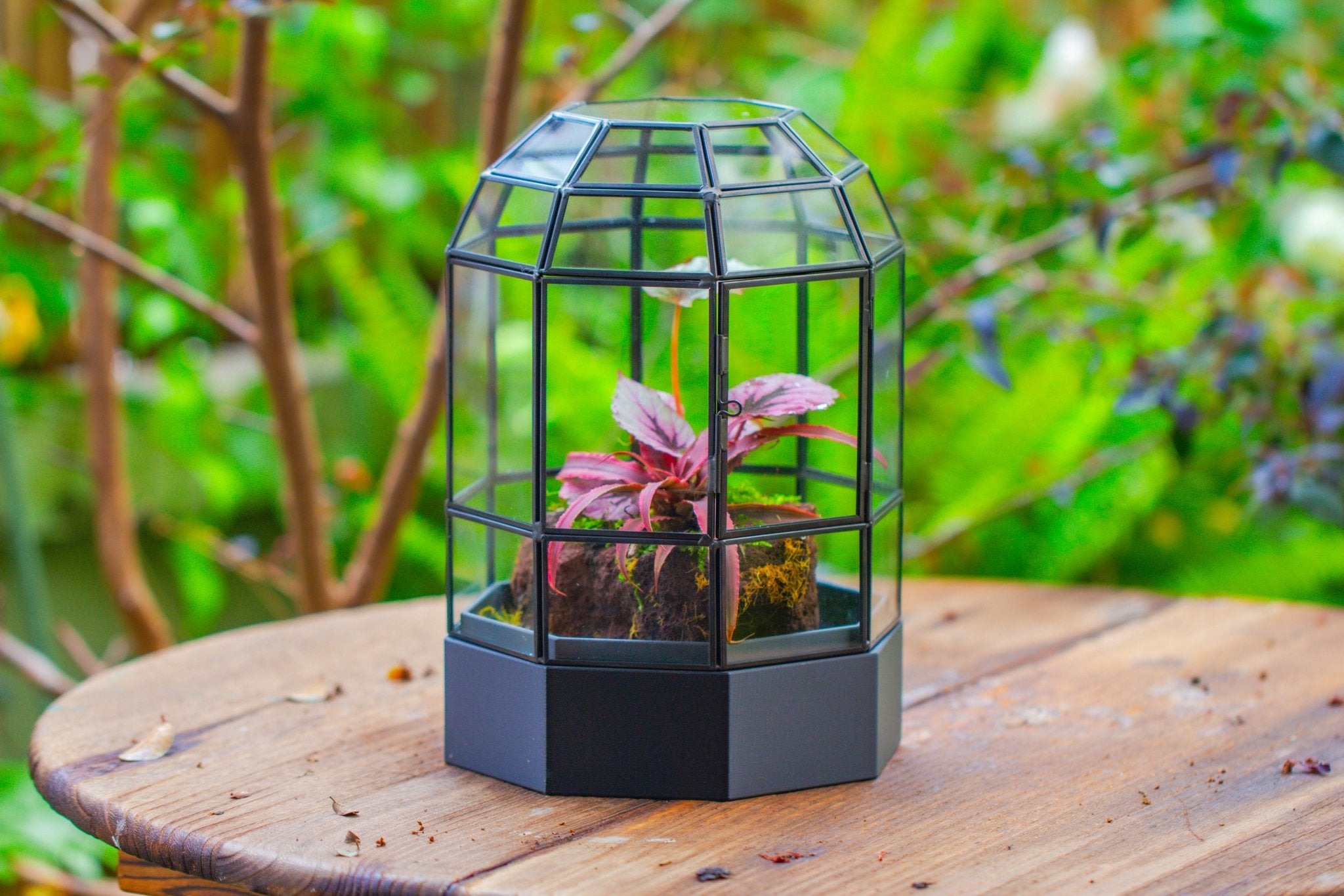 10" Tall Dome Glass Terrarium with Water - Holding Base and Door - NCYPgarden