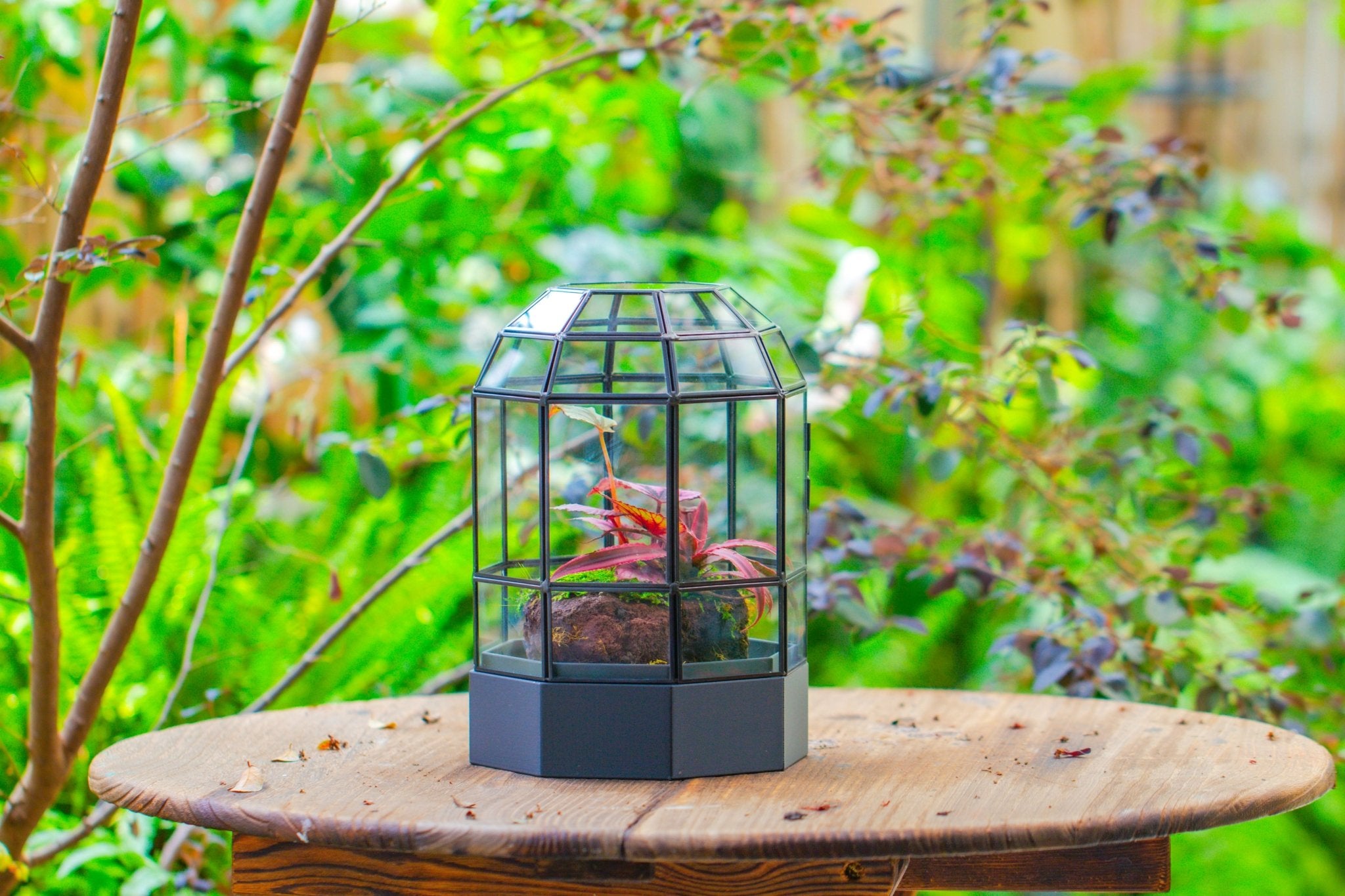 10" Tall Dome Glass Terrarium with Water - Holding Base and Door - NCYPgarden