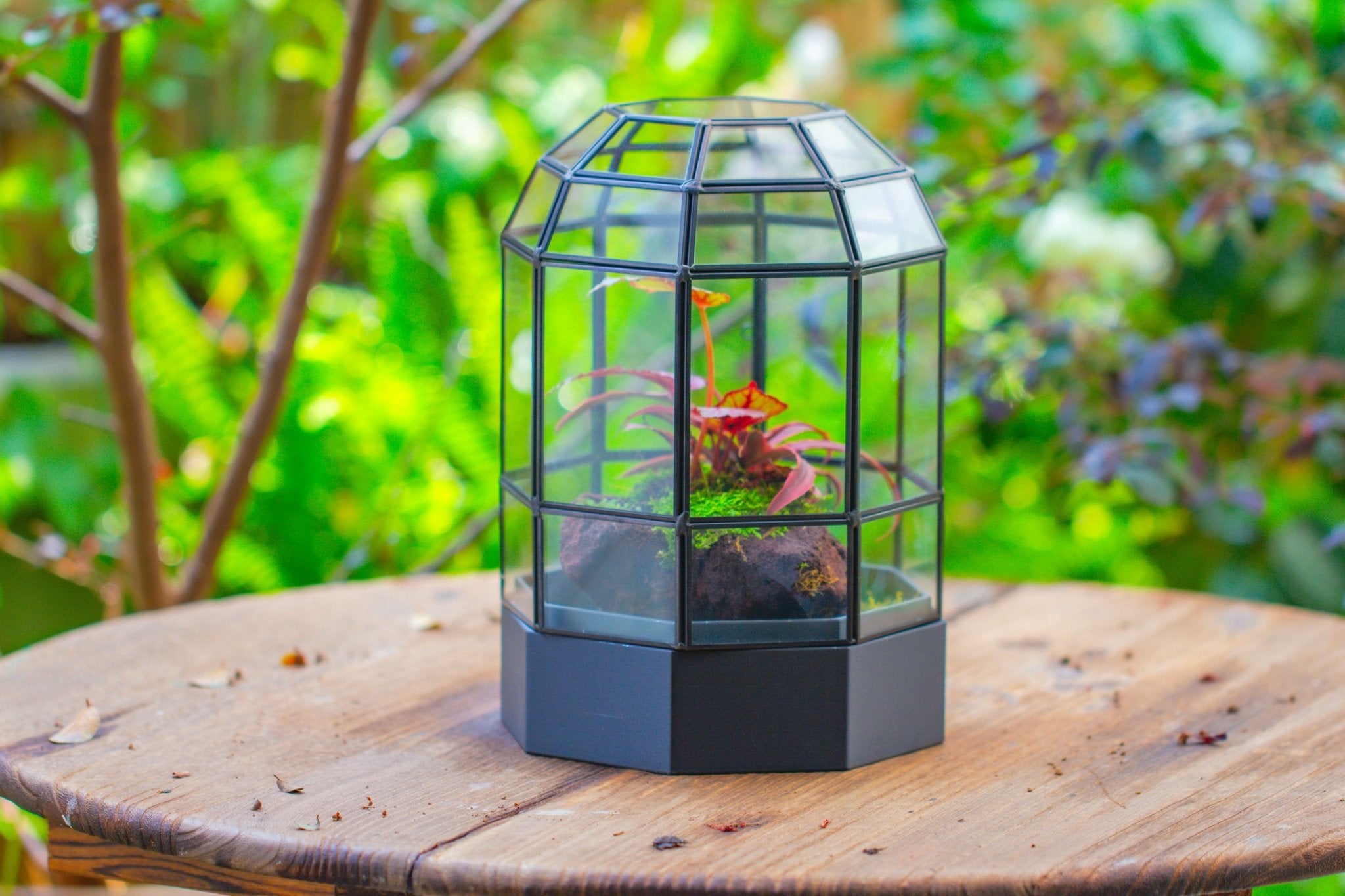 10" Tall Dome Glass Terrarium with Water - Holding Base and Door - NCYPgarden