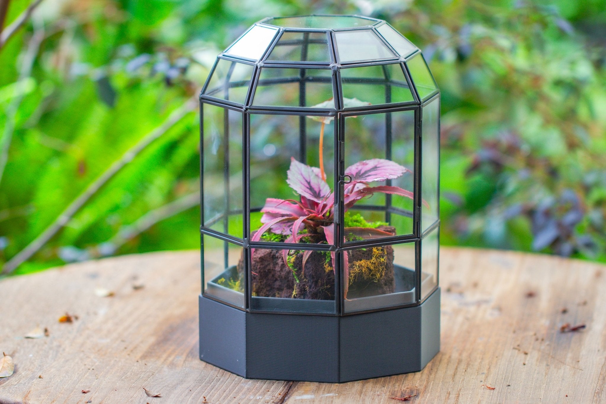 10" Tall Dome Glass Terrarium with Water - Holding Base and Door - NCYPgarden