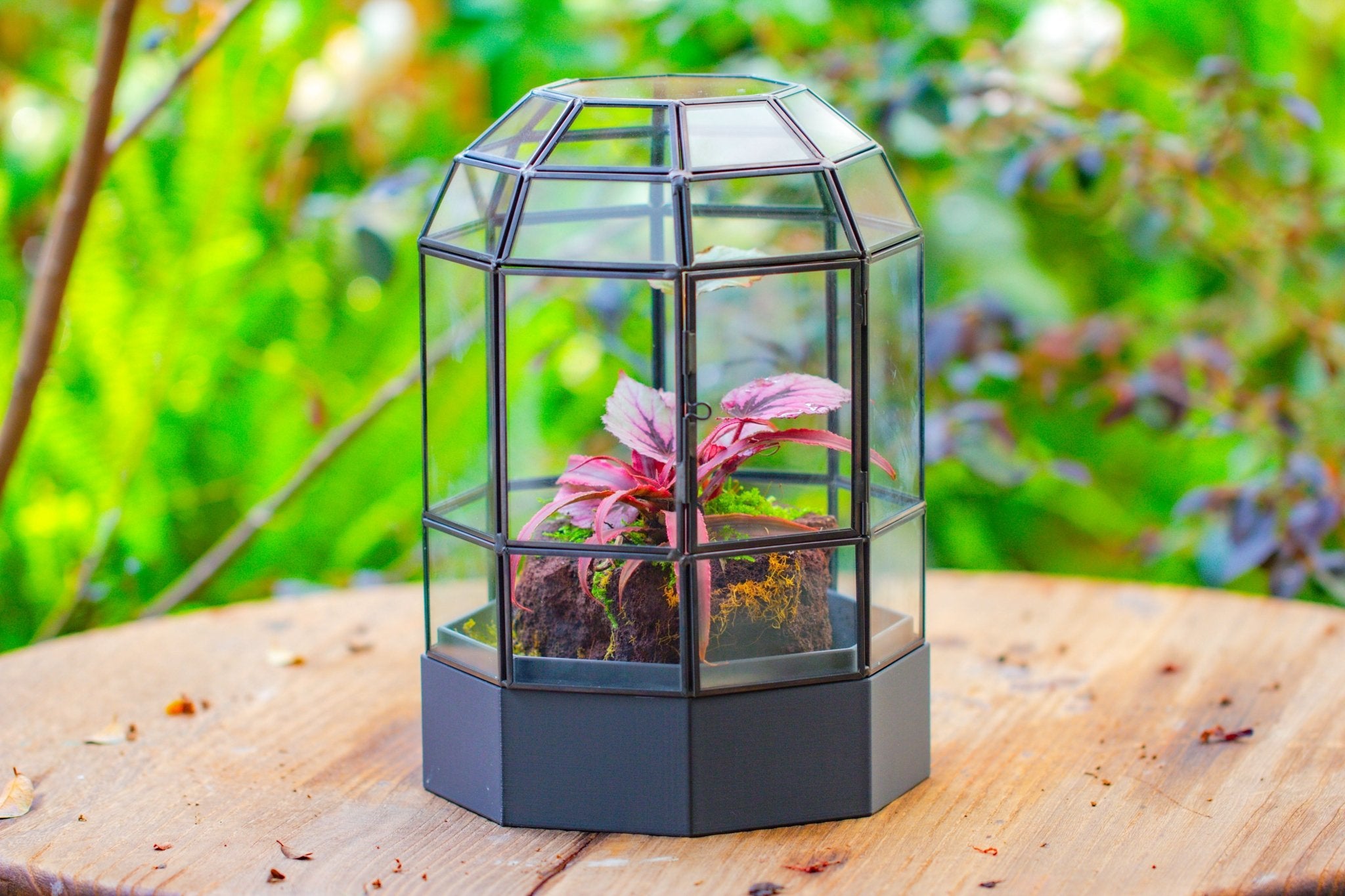 10" Tall Dome Glass Terrarium with Water - Holding Base and Door - NCYPgarden