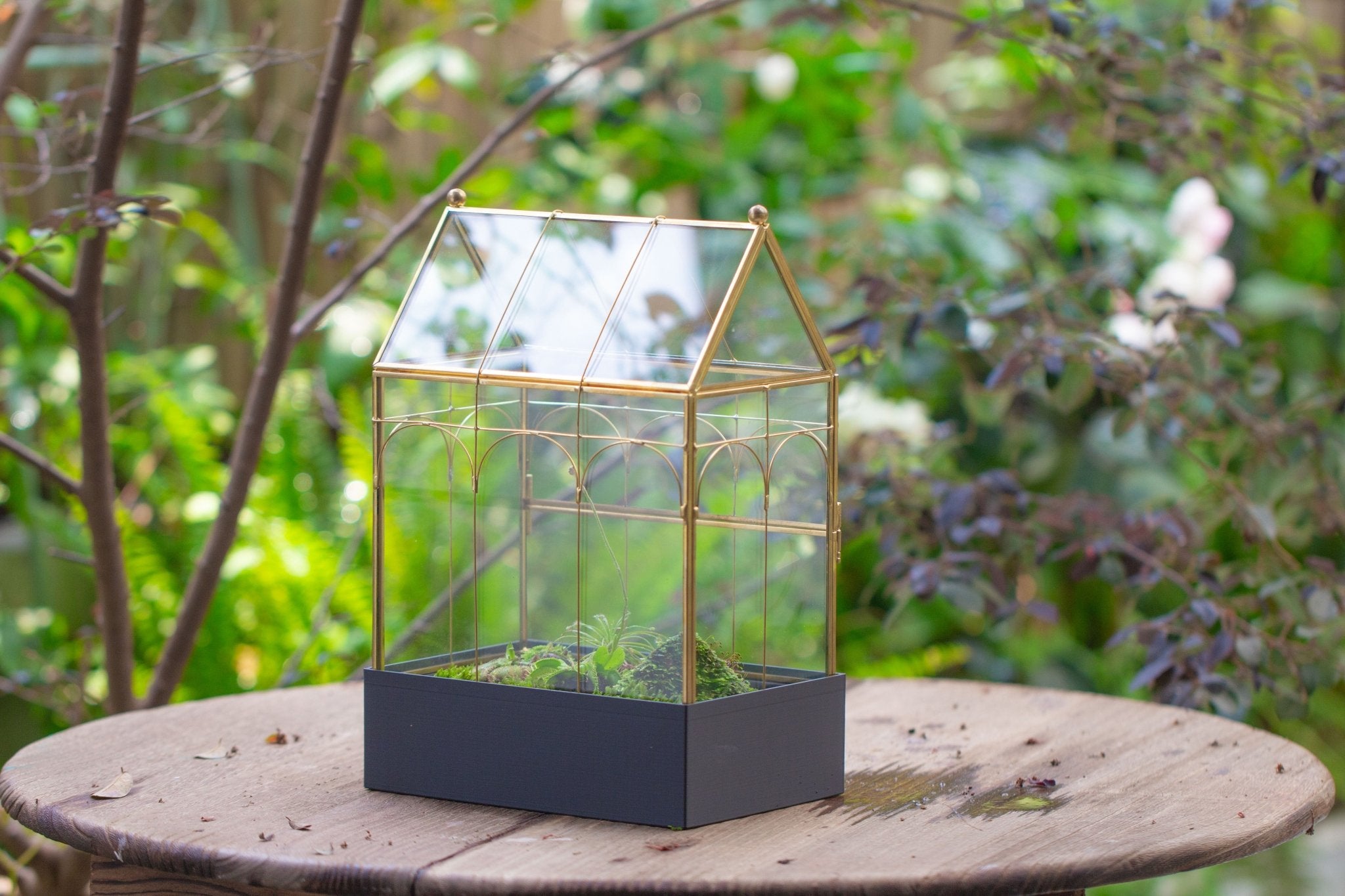 11” Gold Victorian Greenhouse Glass Terrarium with Water - Holding Base and Side Door - NCYPgarden