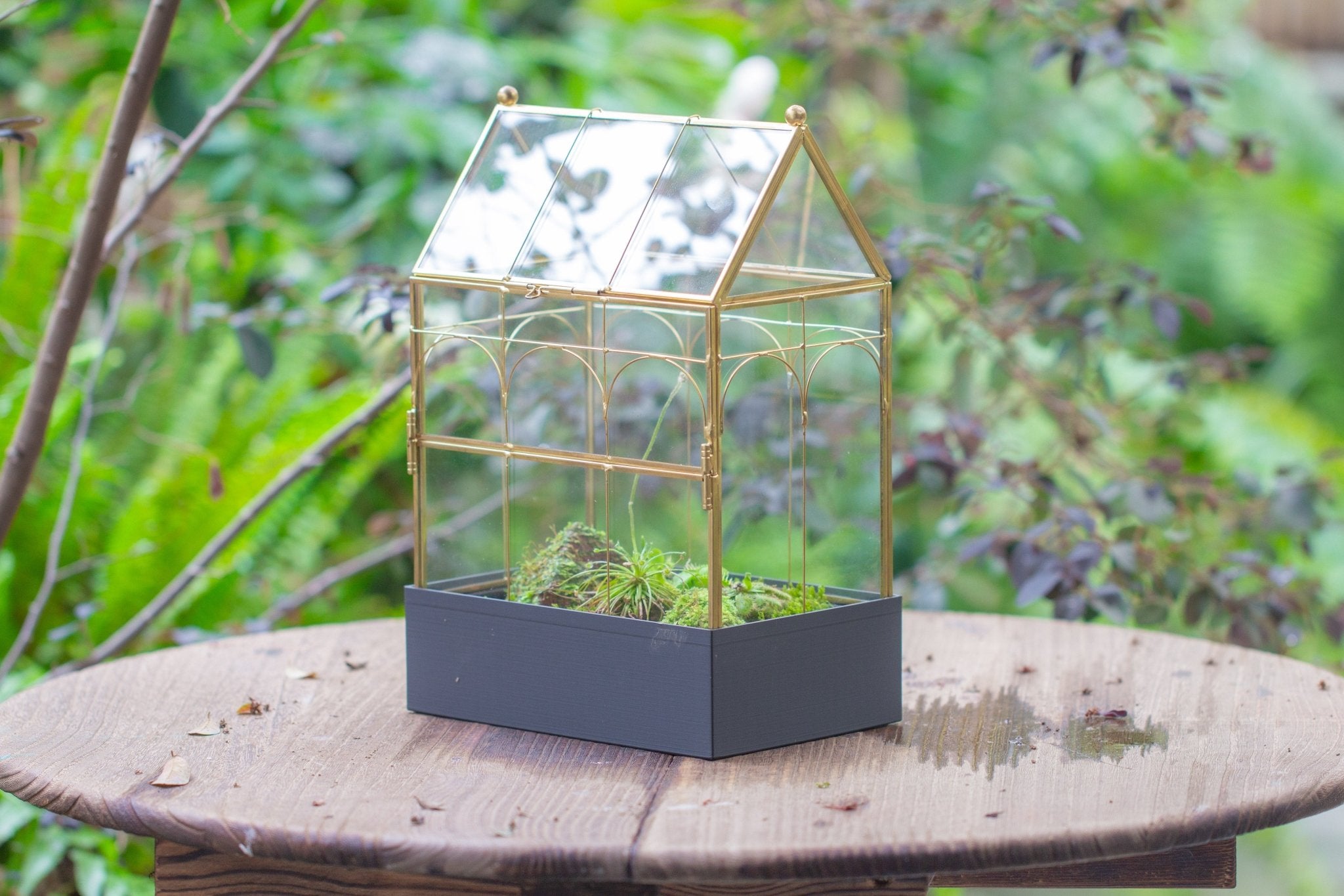 11” Gold Victorian Greenhouse Glass Terrarium with Water - Holding Base and Side Door - NCYPgarden