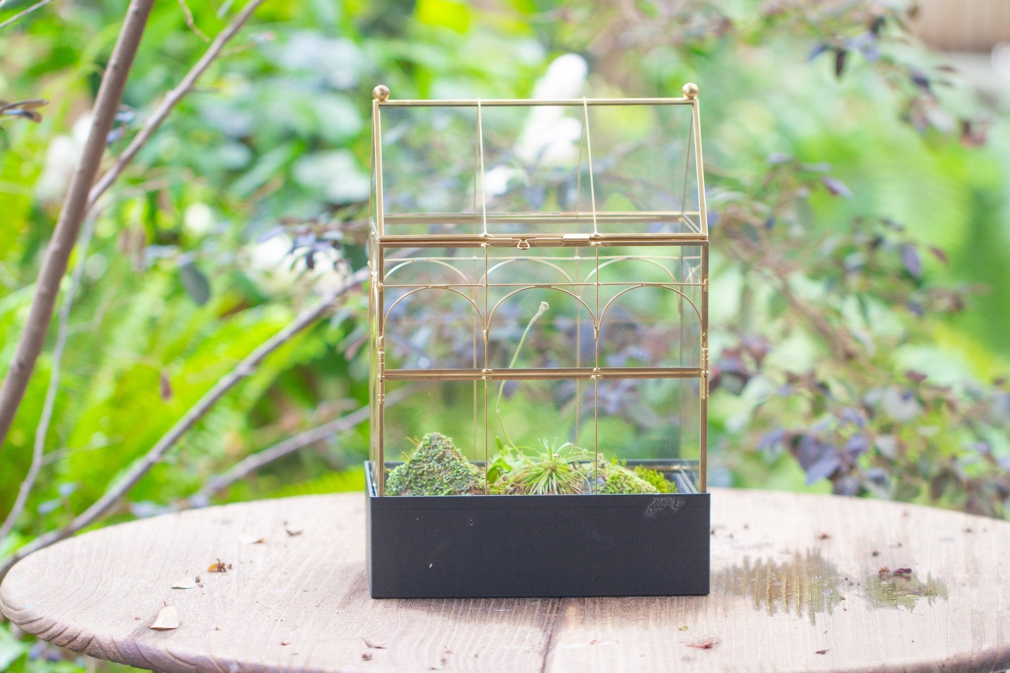 11” Gold Victorian Greenhouse Glass Terrarium with Water - Holding Base and Side Door - NCYPgarden