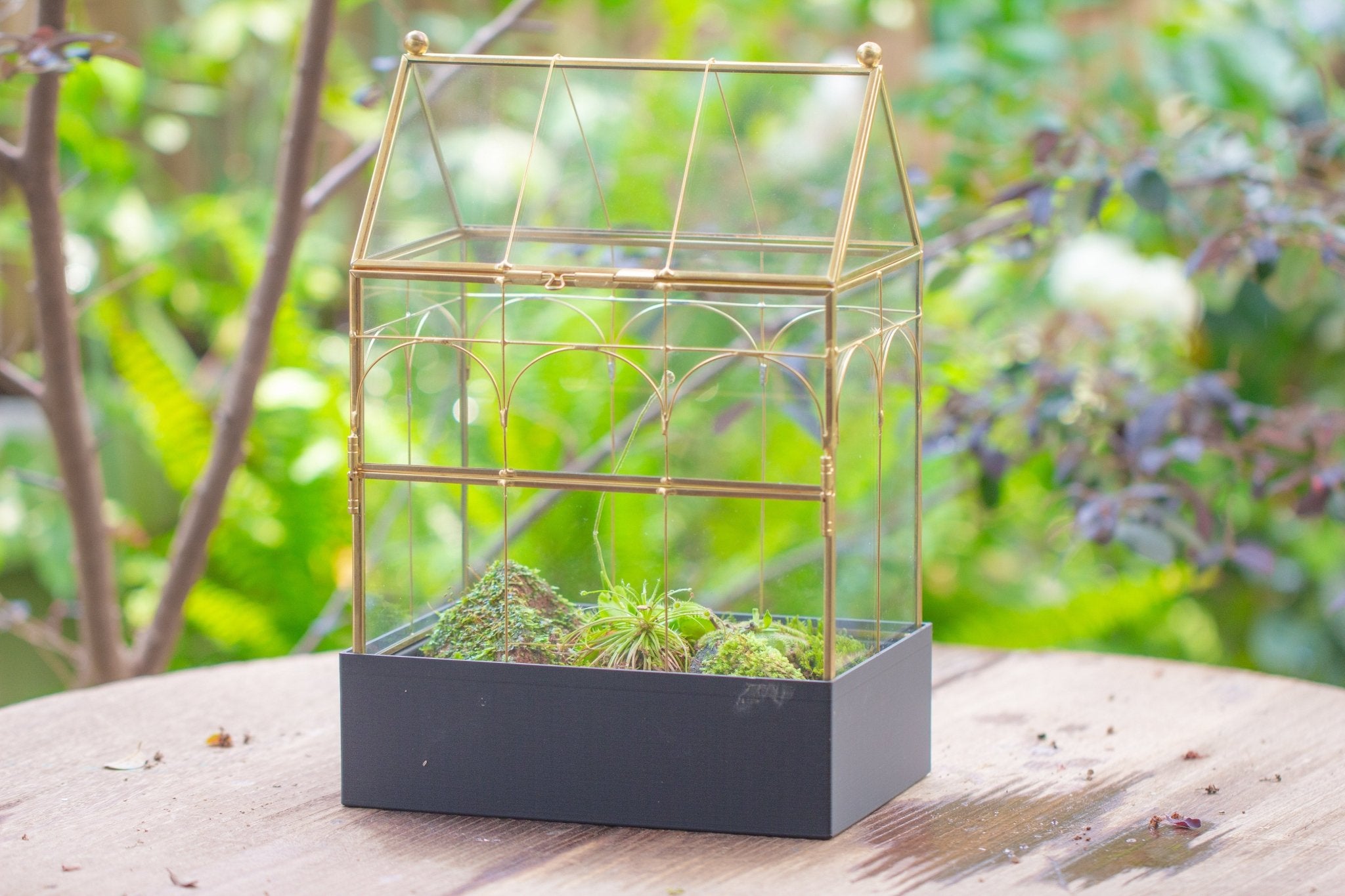 11” Gold Victorian Greenhouse Glass Terrarium with Water - Holding Base and Side Door - NCYPgarden