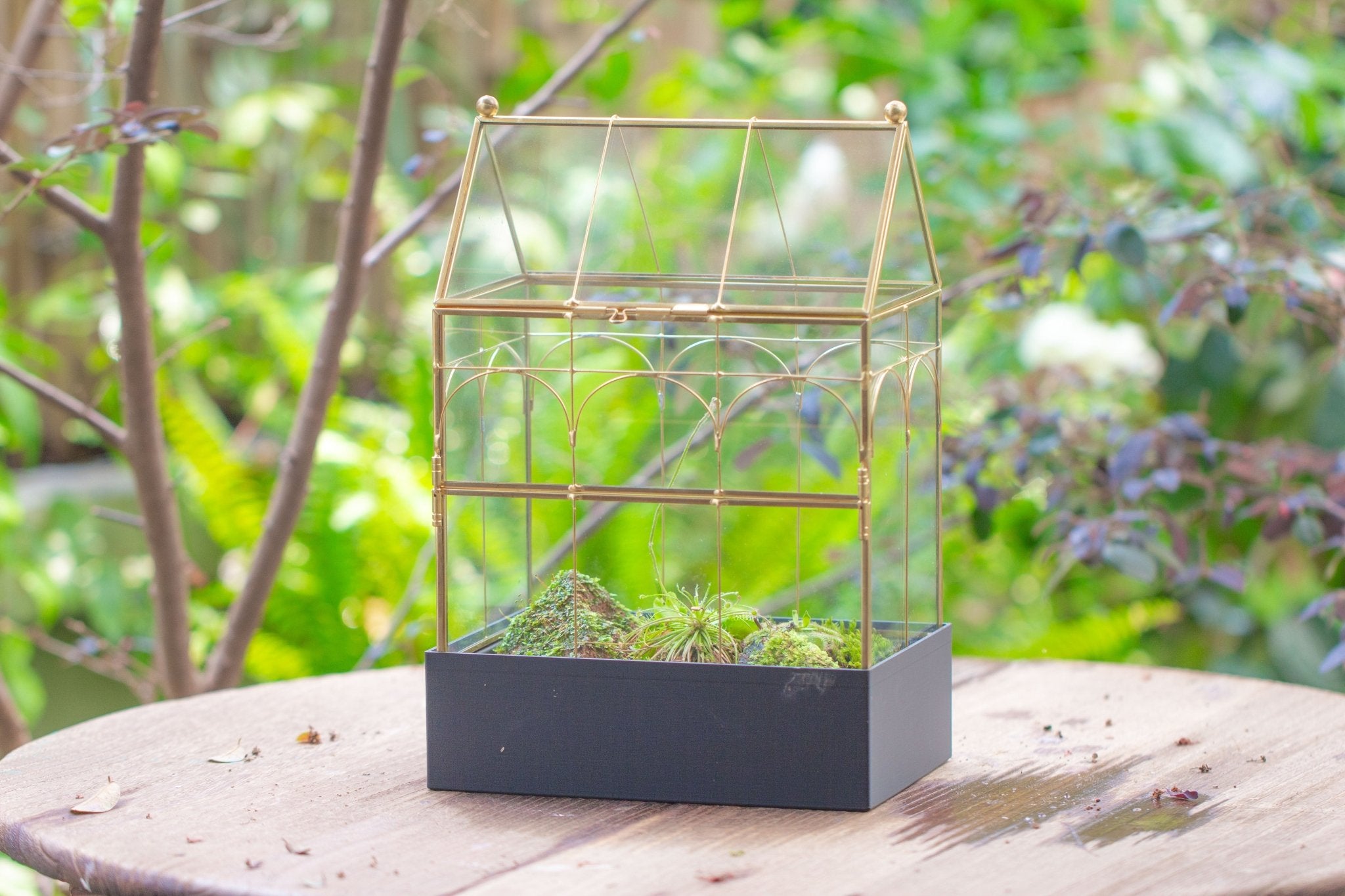 11” Gold Victorian Greenhouse Glass Terrarium with Water - Holding Base and Side Door - NCYPgarden