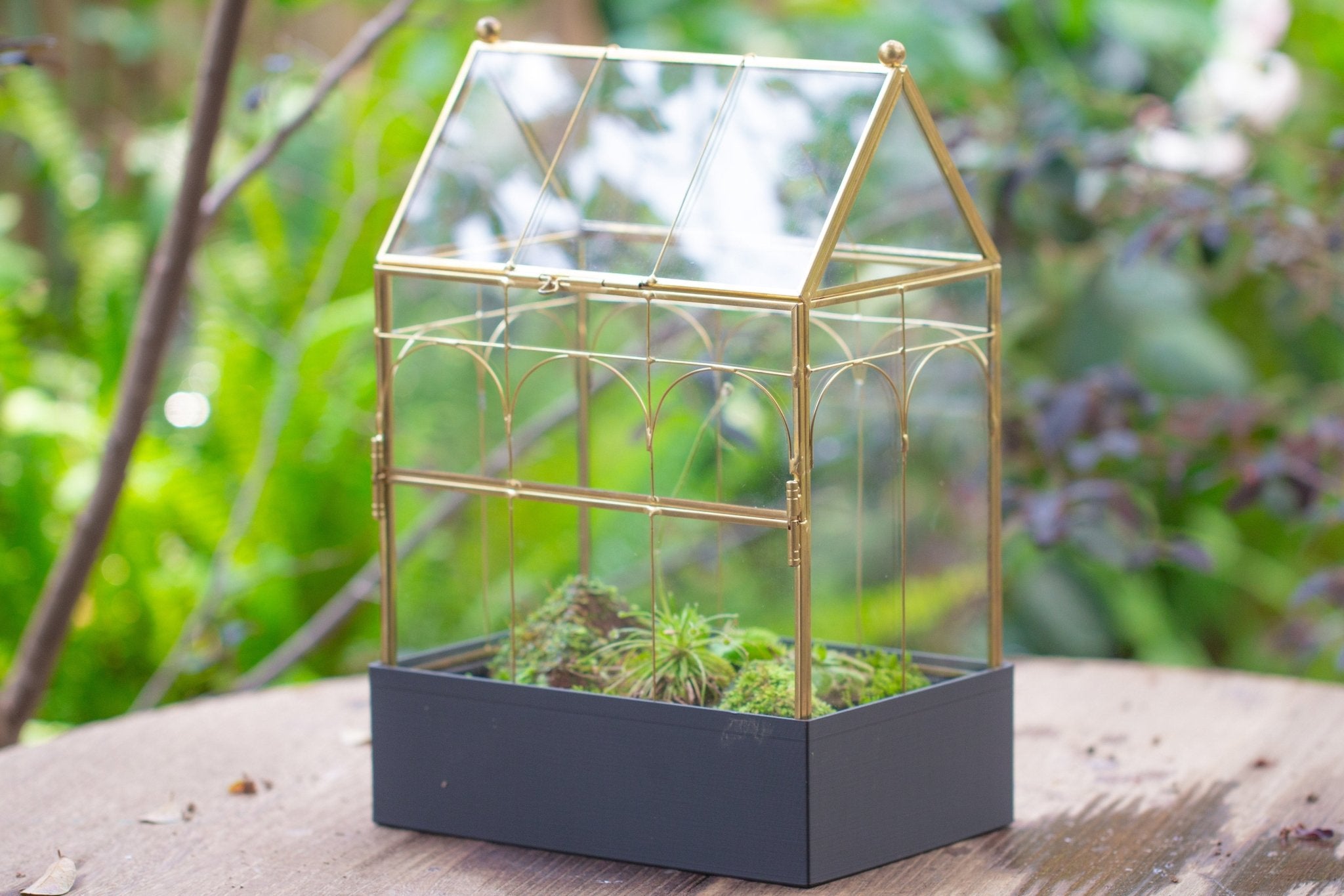 11” Gold Victorian Greenhouse Glass Terrarium with Water - Holding Base and Side Door - NCYPgarden