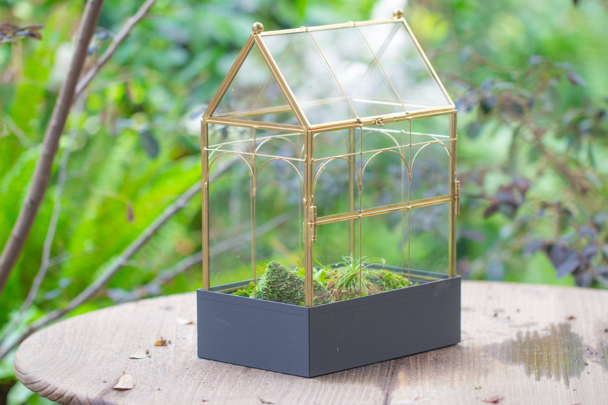 11” Gold Victorian Greenhouse Glass Terrarium with Water - Holding Base and Side Door - NCYPgarden