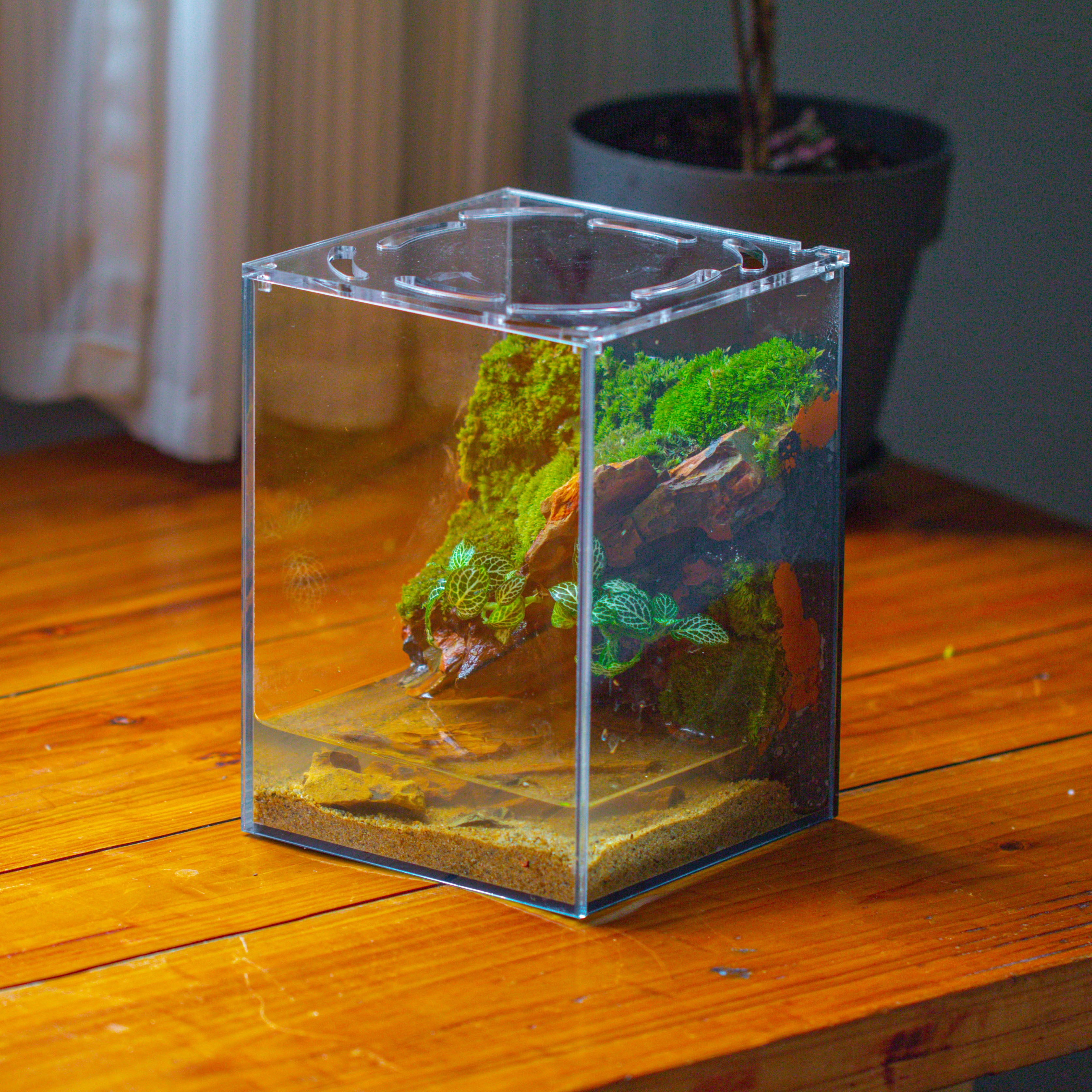 Watertight Glass Terrarium with LED Grow Light, Acrylic Lid for Moss Wall, vertical planting -15x15x20cm / 5.9x5.9x7.8 - NCYPgarden