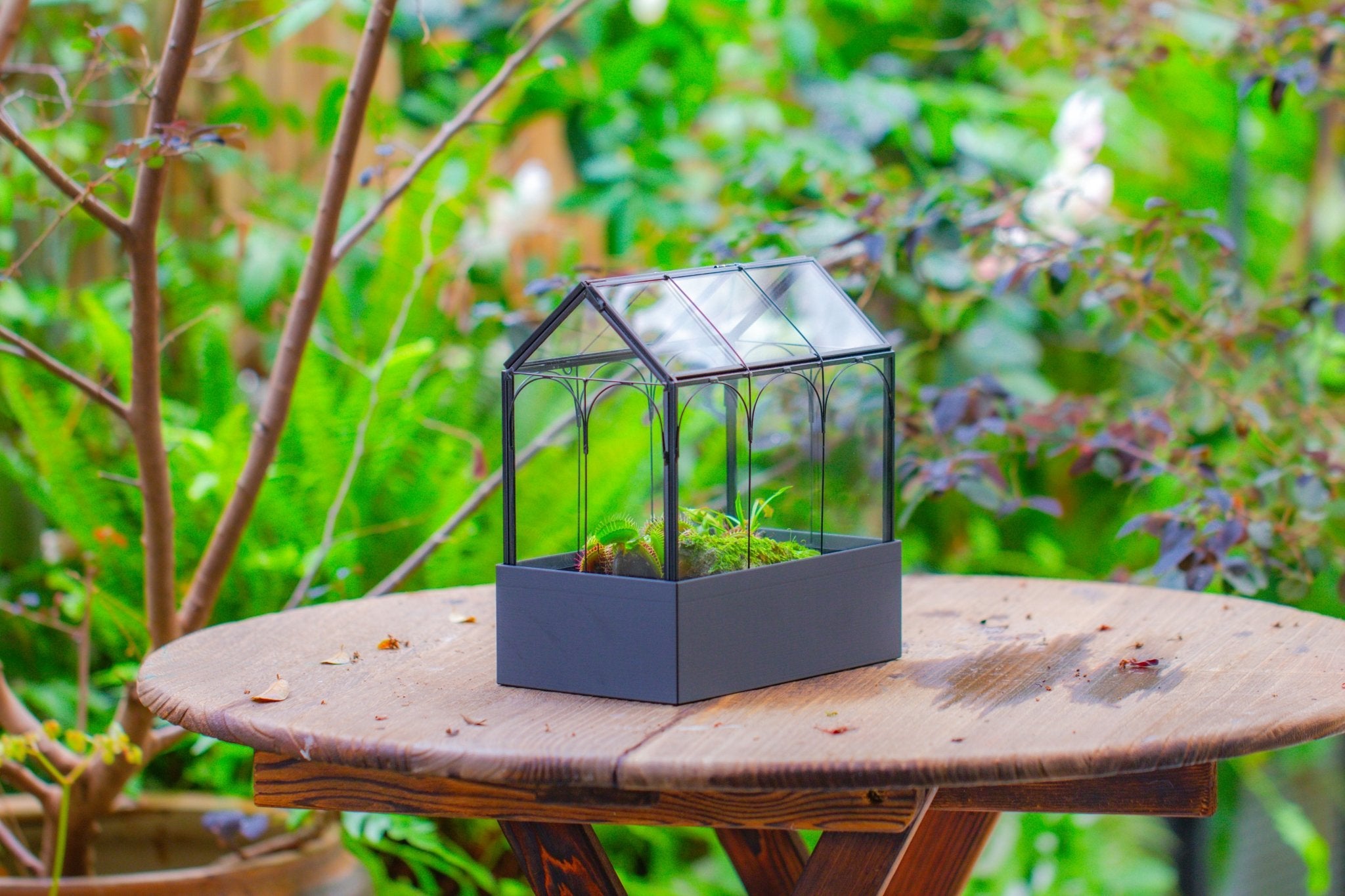 8" Vintage Greenhouse Glass Terrarium with Water - Holding Base and Top Door - NCYPgarden