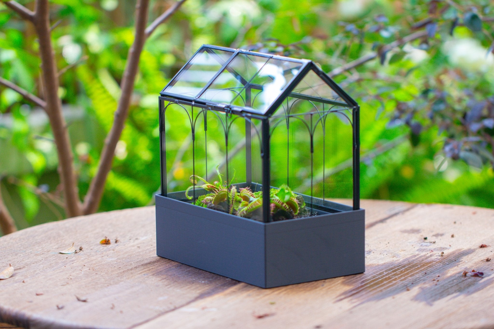 8" Vintage Greenhouse Glass Terrarium with Water - Holding Base and Top Door - NCYPgarden