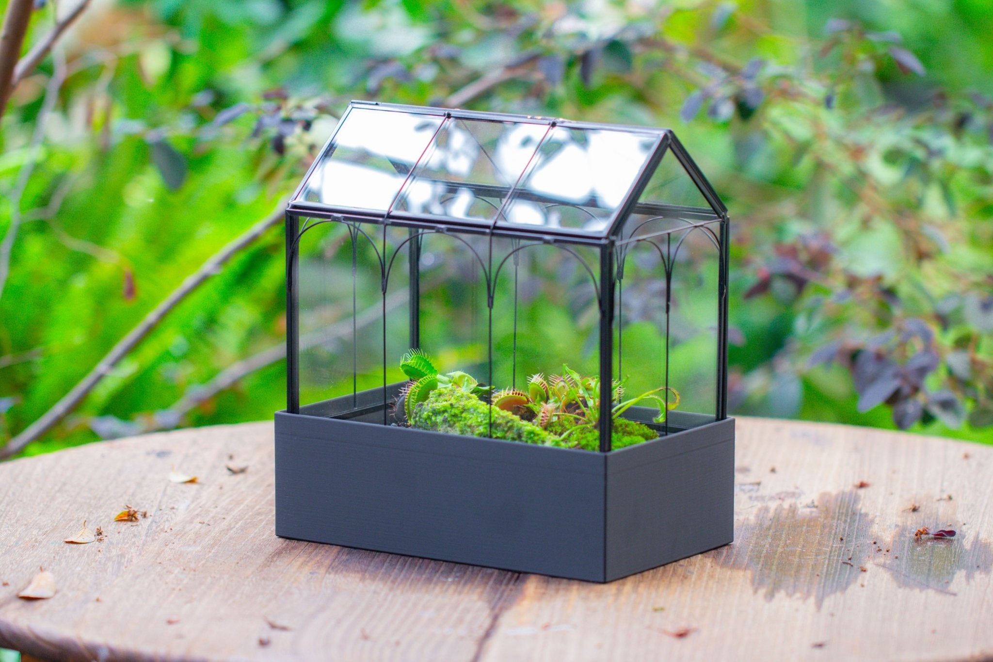 8" Vintage Greenhouse Glass Terrarium with Water - Holding Base and Top Door - NCYPgarden