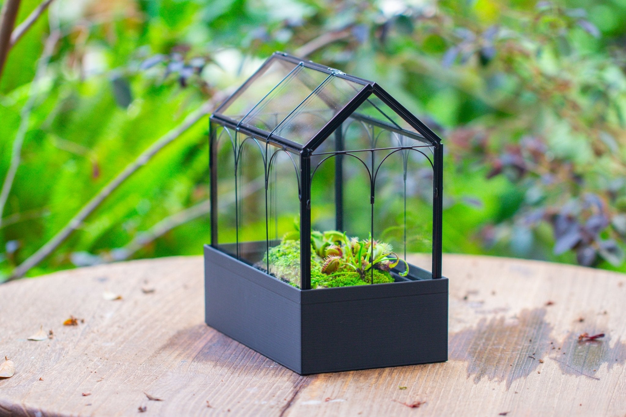 8" Vintage Greenhouse Glass Terrarium with Water - Holding Base and Top Door - NCYPgarden
