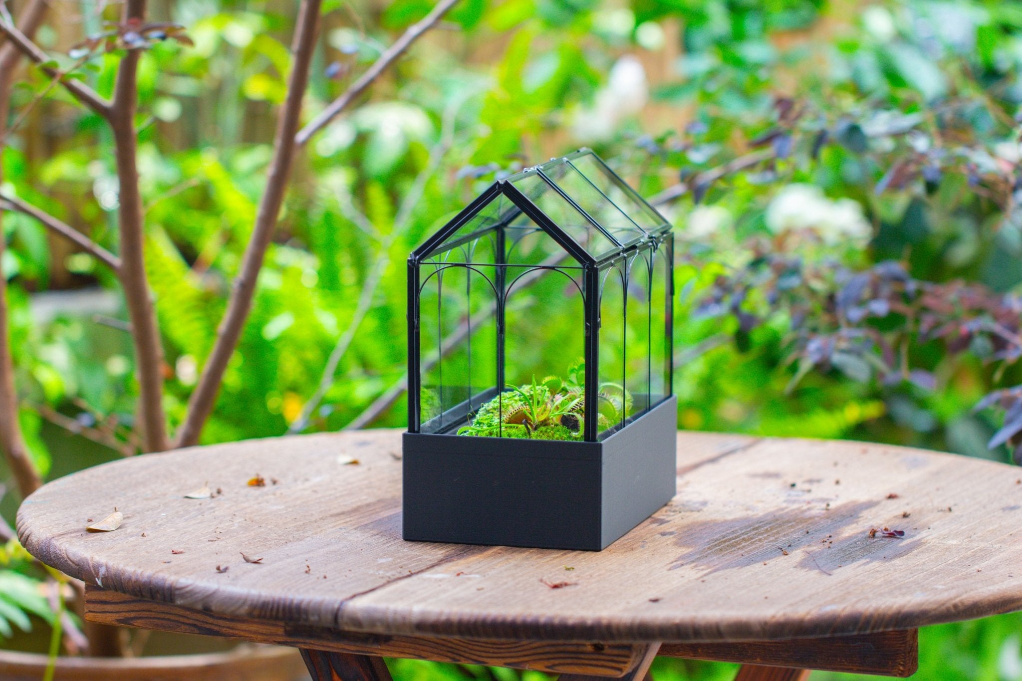 8" Vintage Greenhouse Glass Terrarium with Water - Holding Base and Top Door - NCYPgarden