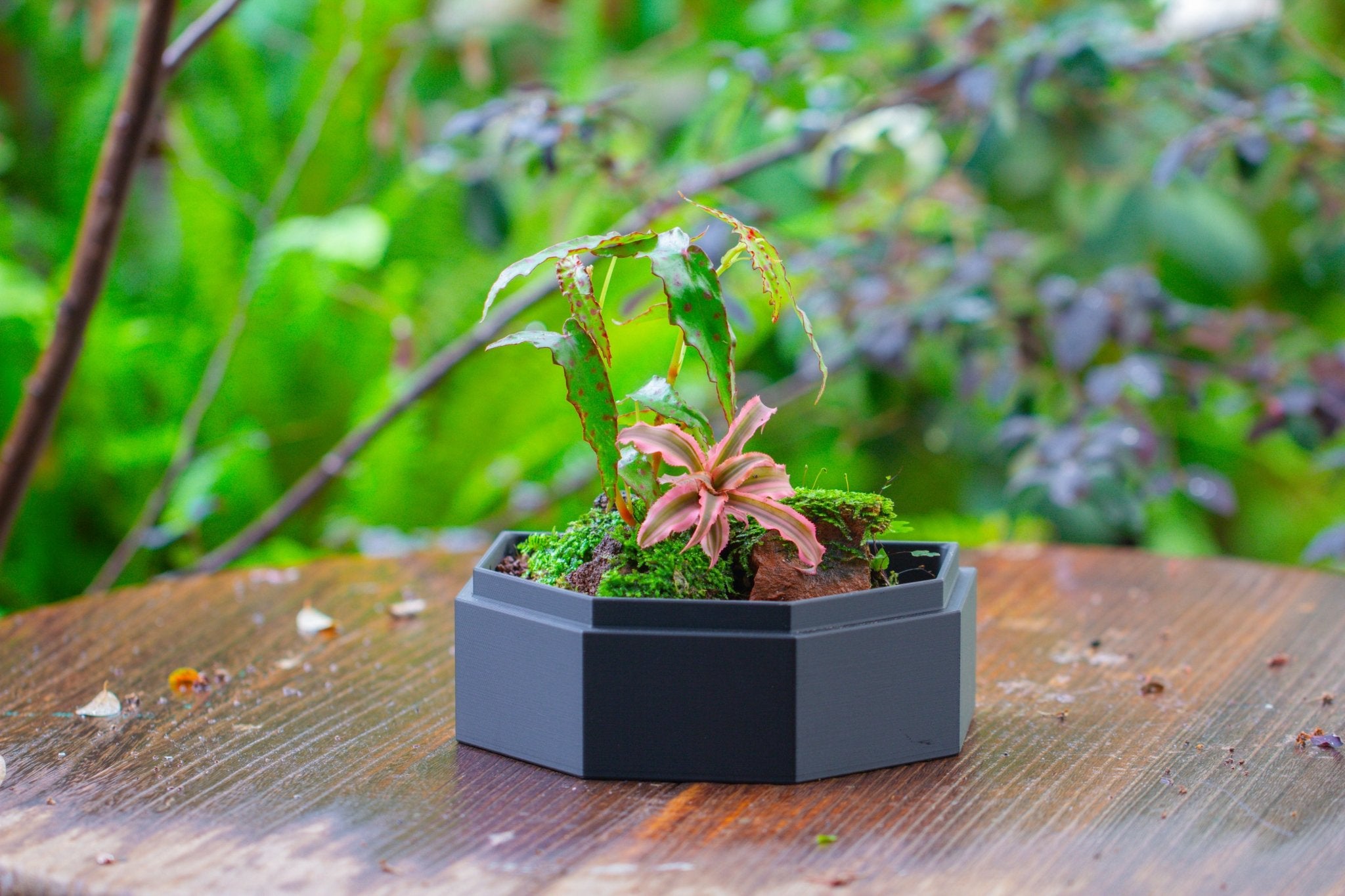 10" Tall Half Dome Glass Terrarium with Water - Holding Base and Door - NCYPgarden