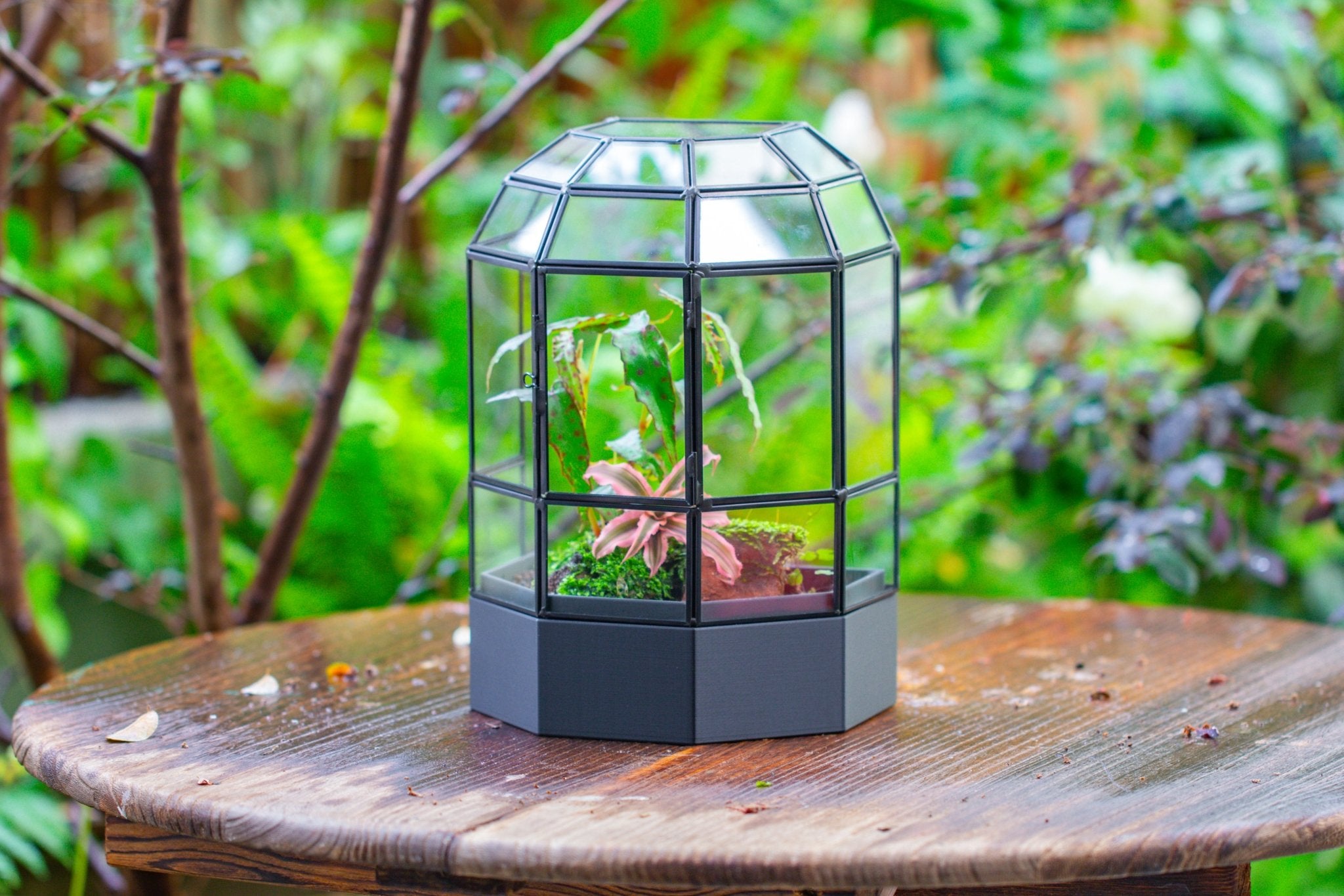 10" Tall Half Dome Glass Terrarium with Water - Holding Base and Door - NCYPgarden