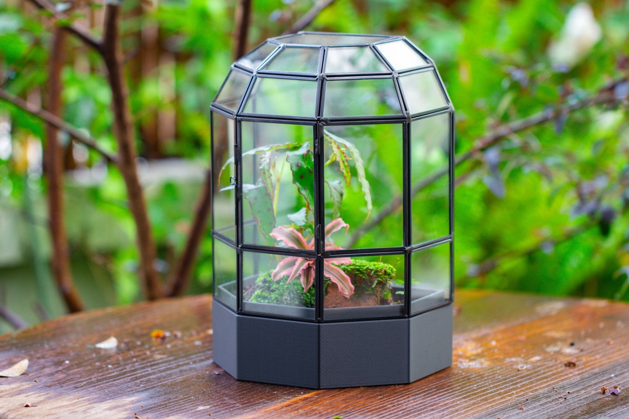 10" Tall Half Dome Glass Terrarium with Water - Holding Base and Door - NCYPgarden