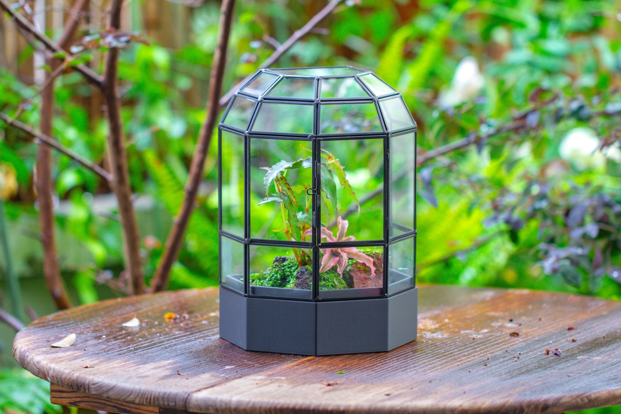 10" Tall Half Dome Glass Terrarium with Water - Holding Base and Door - NCYPgarden