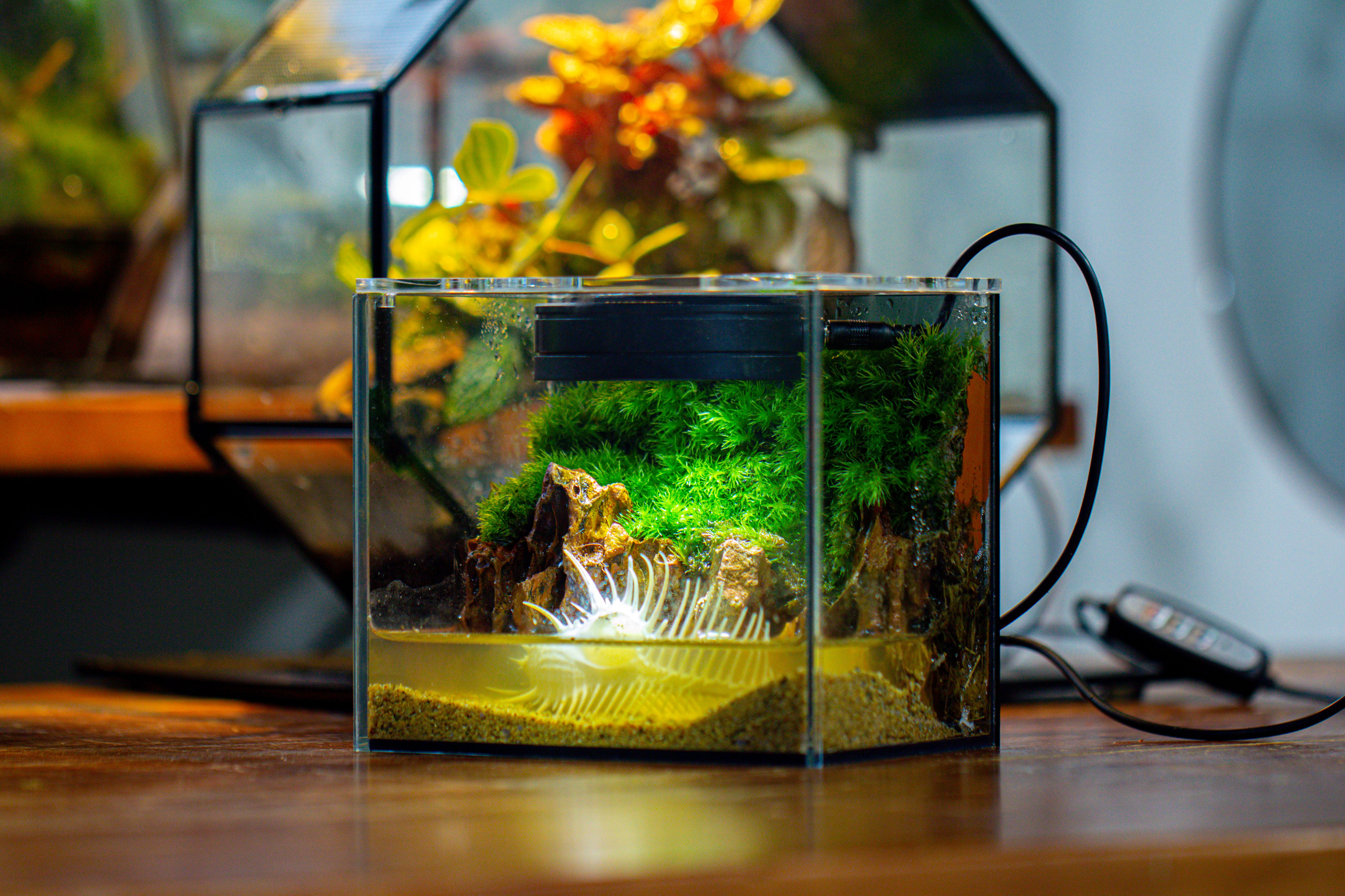 Watertight Glass Terrarium with LED Grow Light, Acrylic Lid for Moss Wall, vertical planting -15x11x13cm / 5.9x4.3x5.1'' - NCYPgarden