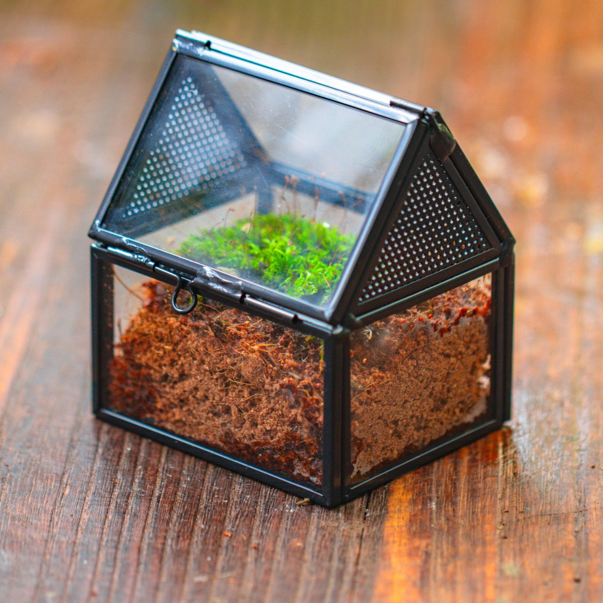 custommade order for LaLa, 3 enclosures - NCYPgarden