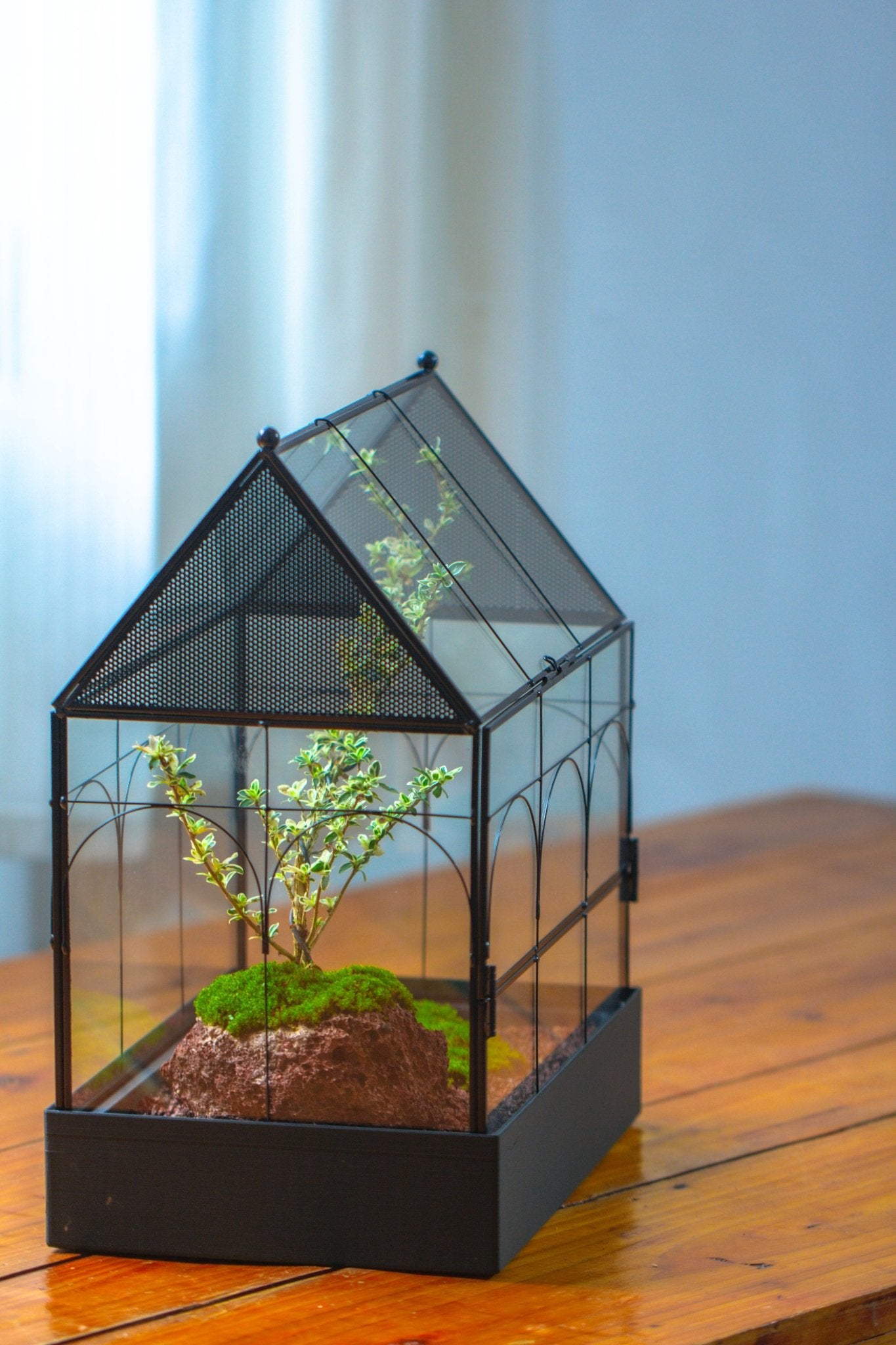 Large Vintage House Shape Insect Terrarium with Vent for Tarantulas, Mantis, Stick Insects - 13" - NCYPgarden