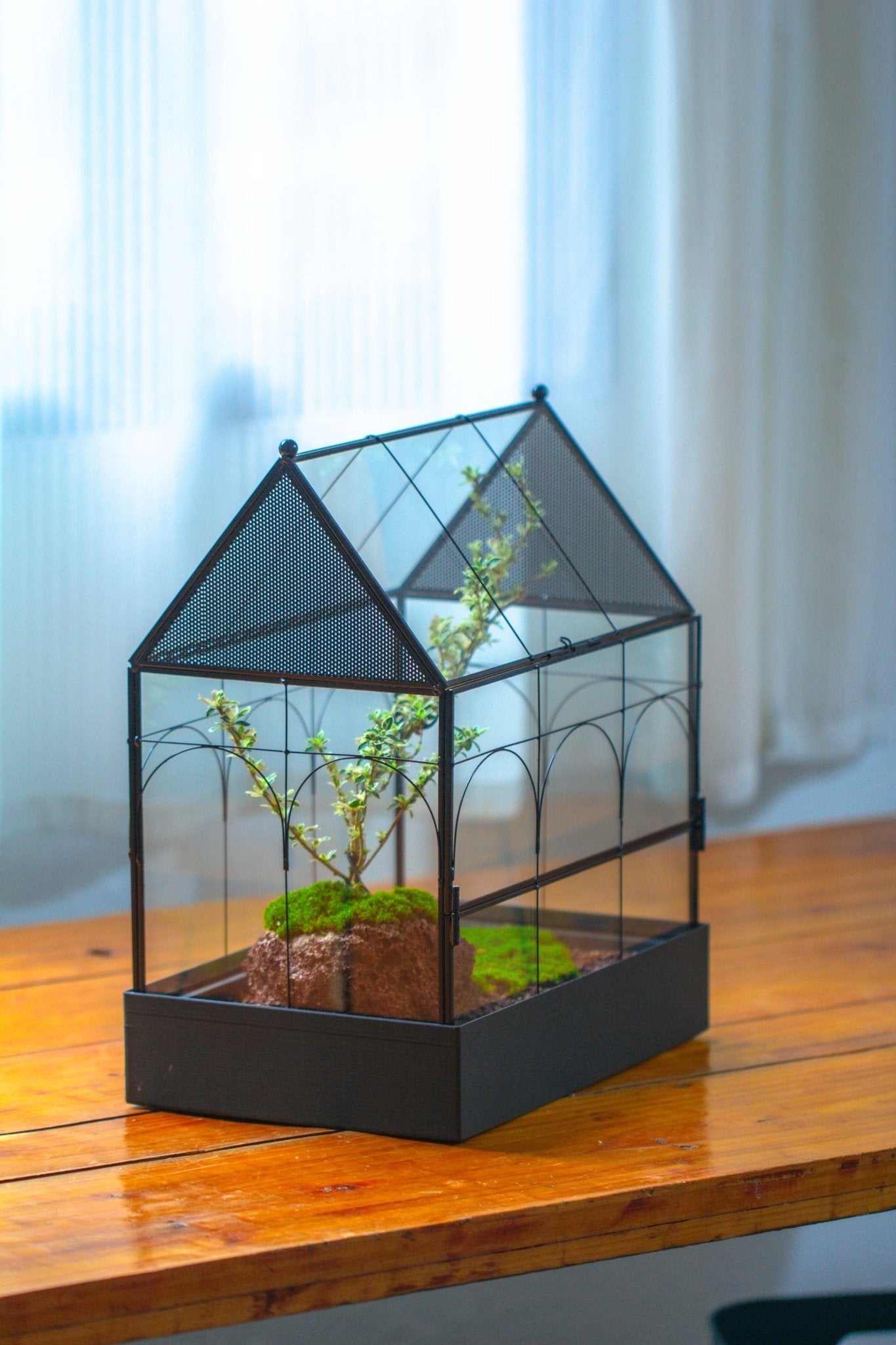 Large Vintage House Shape Insect Terrarium with Vent for Tarantulas, Mantis, Stick Insects - 13" - NCYPgarden