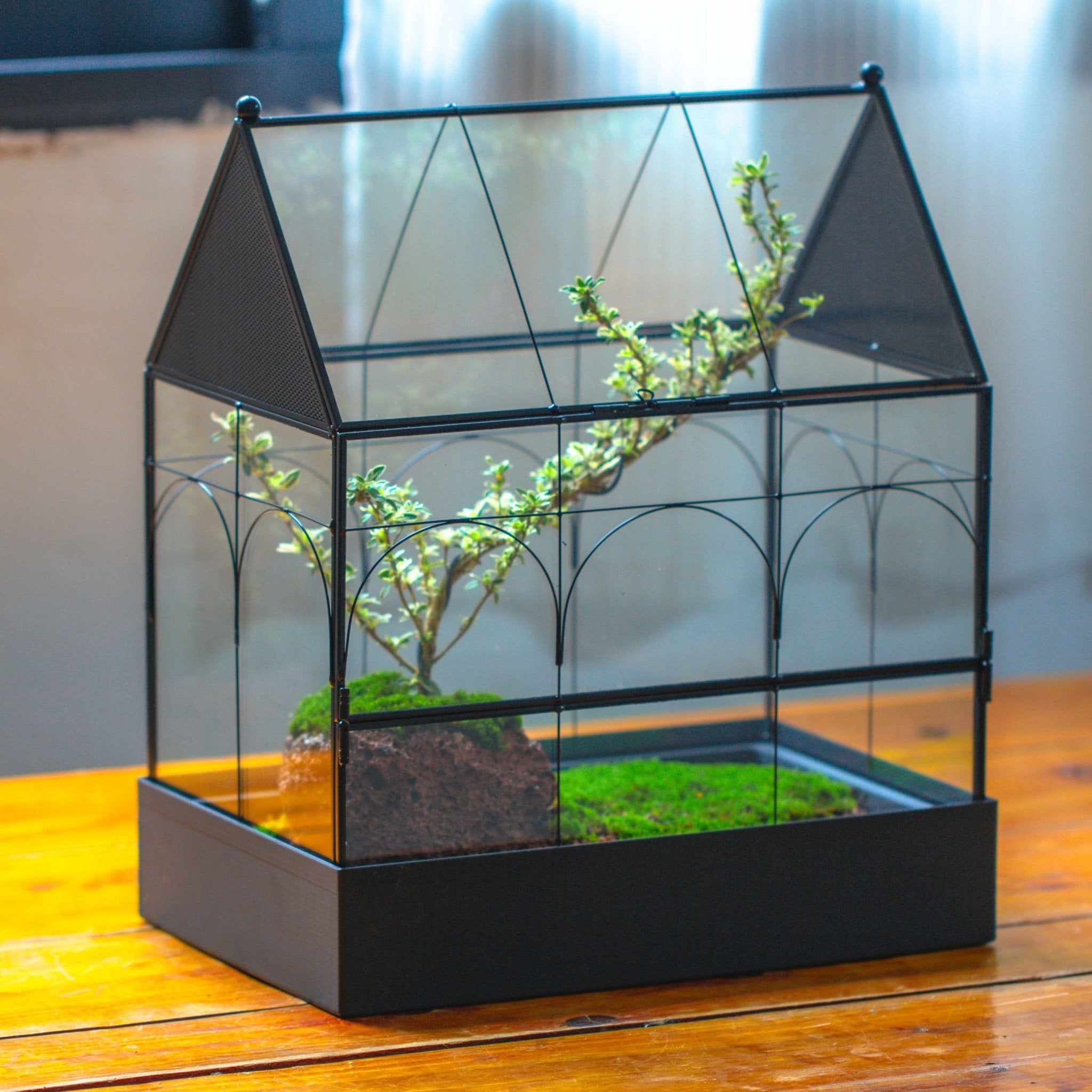 Large Vintage House Shape Insect Terrarium with Vent for Tarantulas, Mantis, Stick Insects - 13" - NCYPgarden