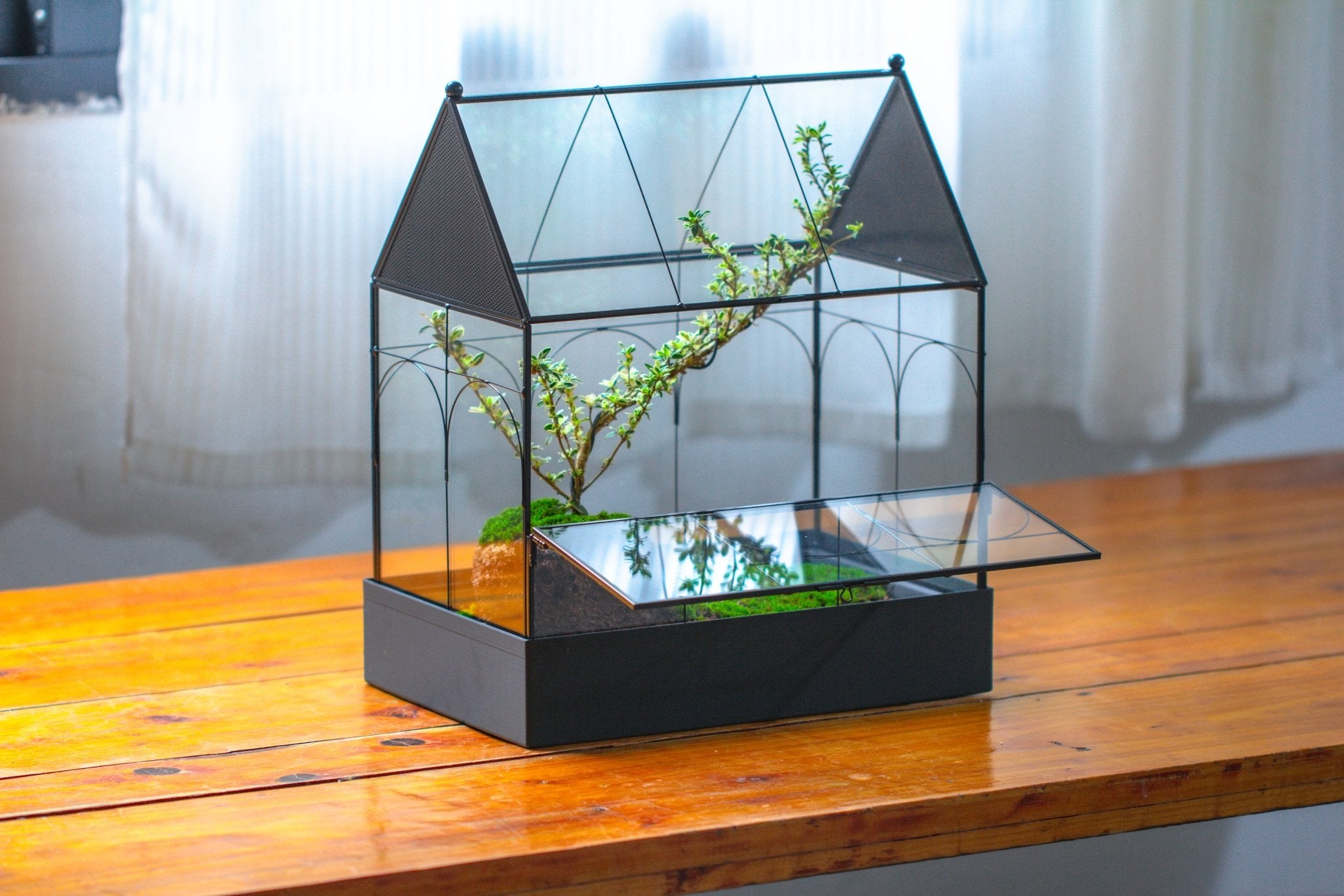 Large Vintage House Shape Insect Terrarium with Vent for Tarantulas, Mantis, Stick Insects - 13" - NCYPgarden