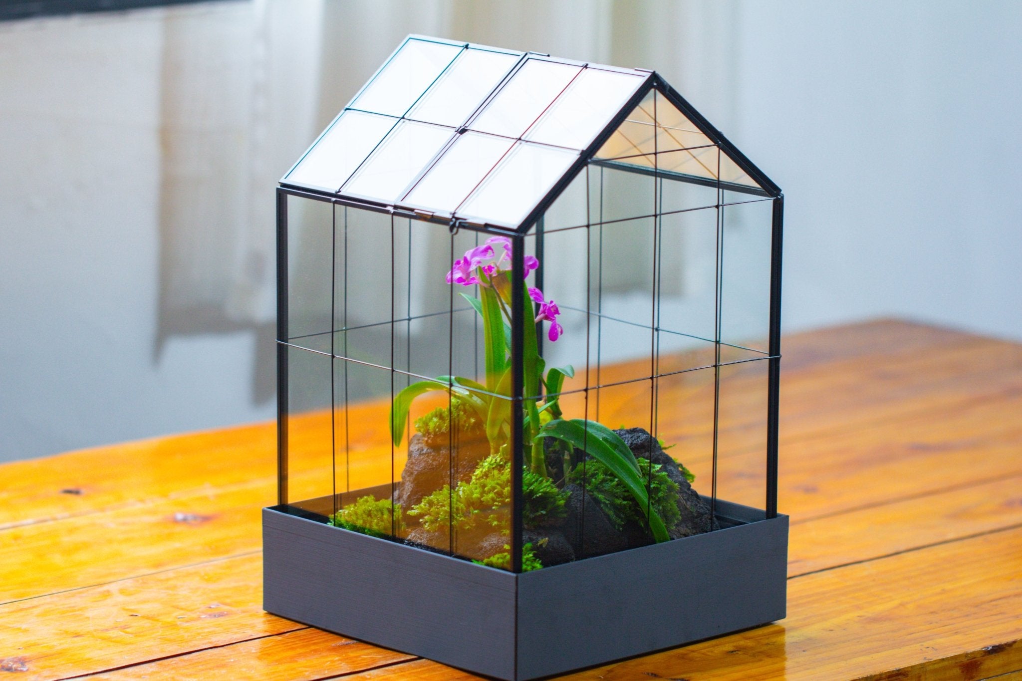 11” Vintage Greenhouse Glass Terrarium with Water - Holding Tray and Top Door - NCYPgarden