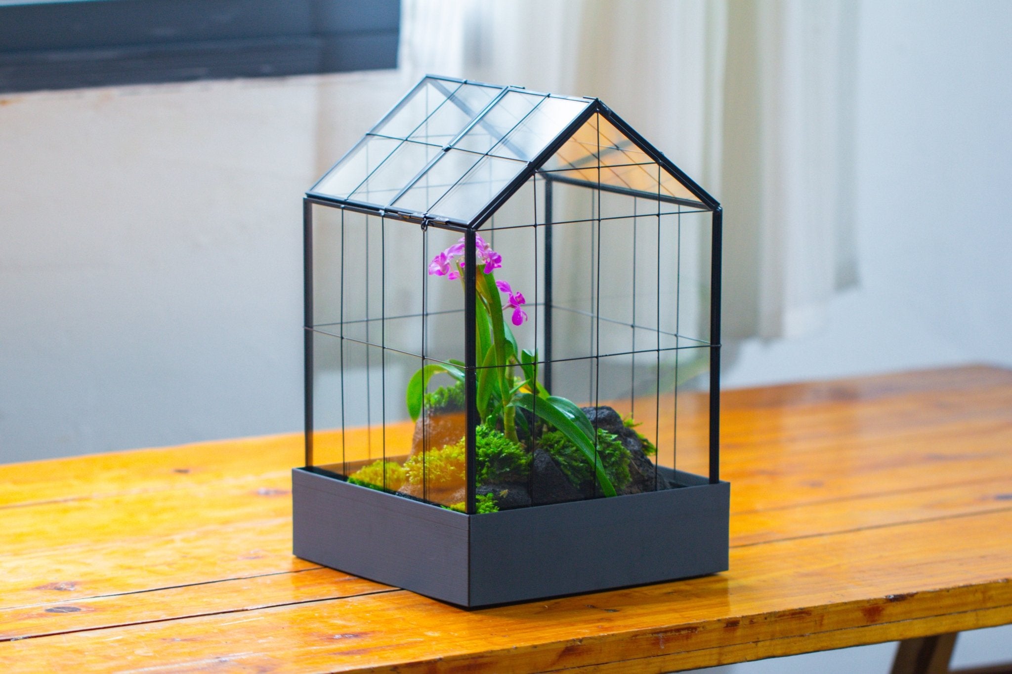 11” Vintage Greenhouse Glass Terrarium with Water - Holding Tray and Top Door - NCYPgarden